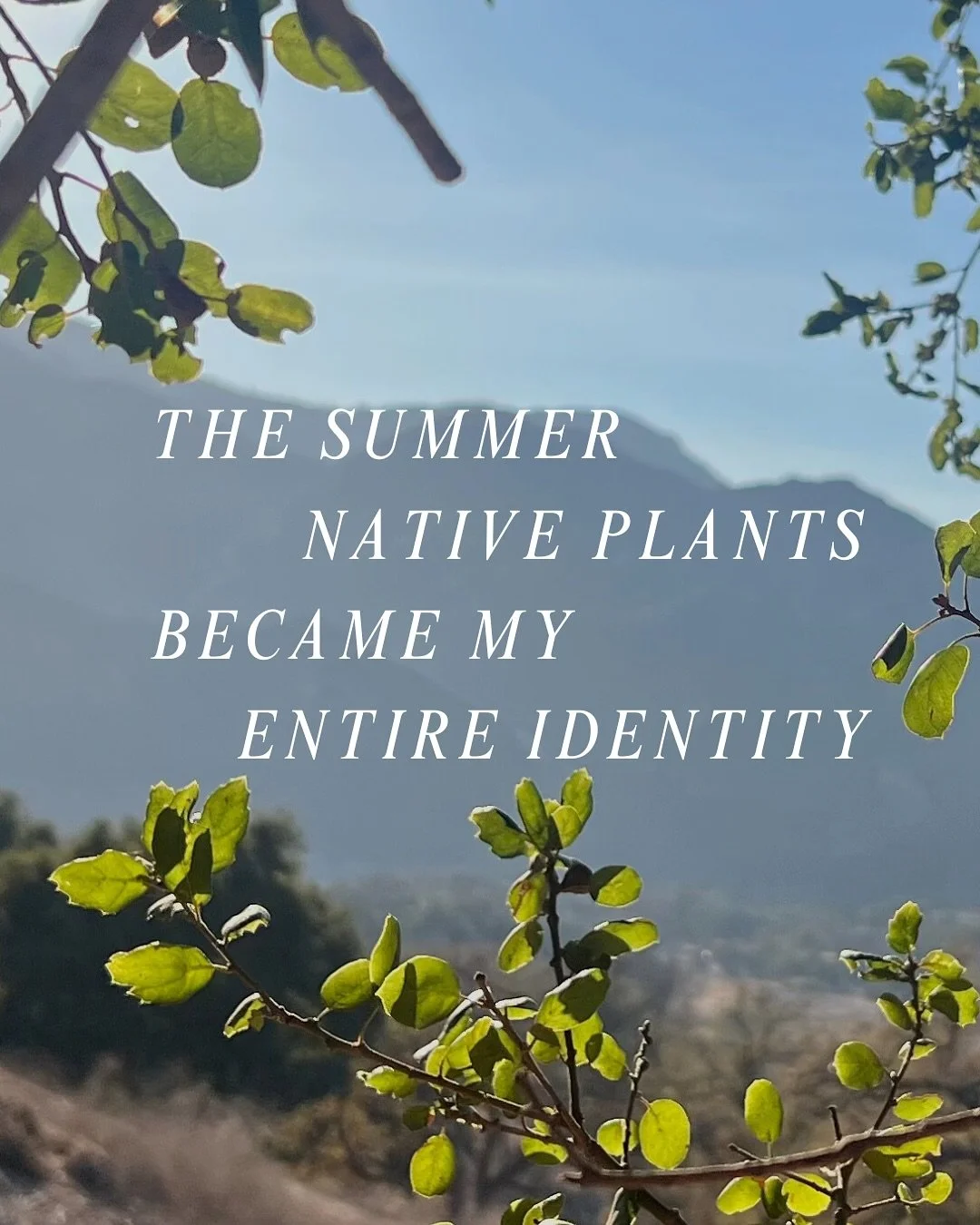 The summer I turned pretty obsessed about native plants.🌀🌿
#nativeplants #tsitp