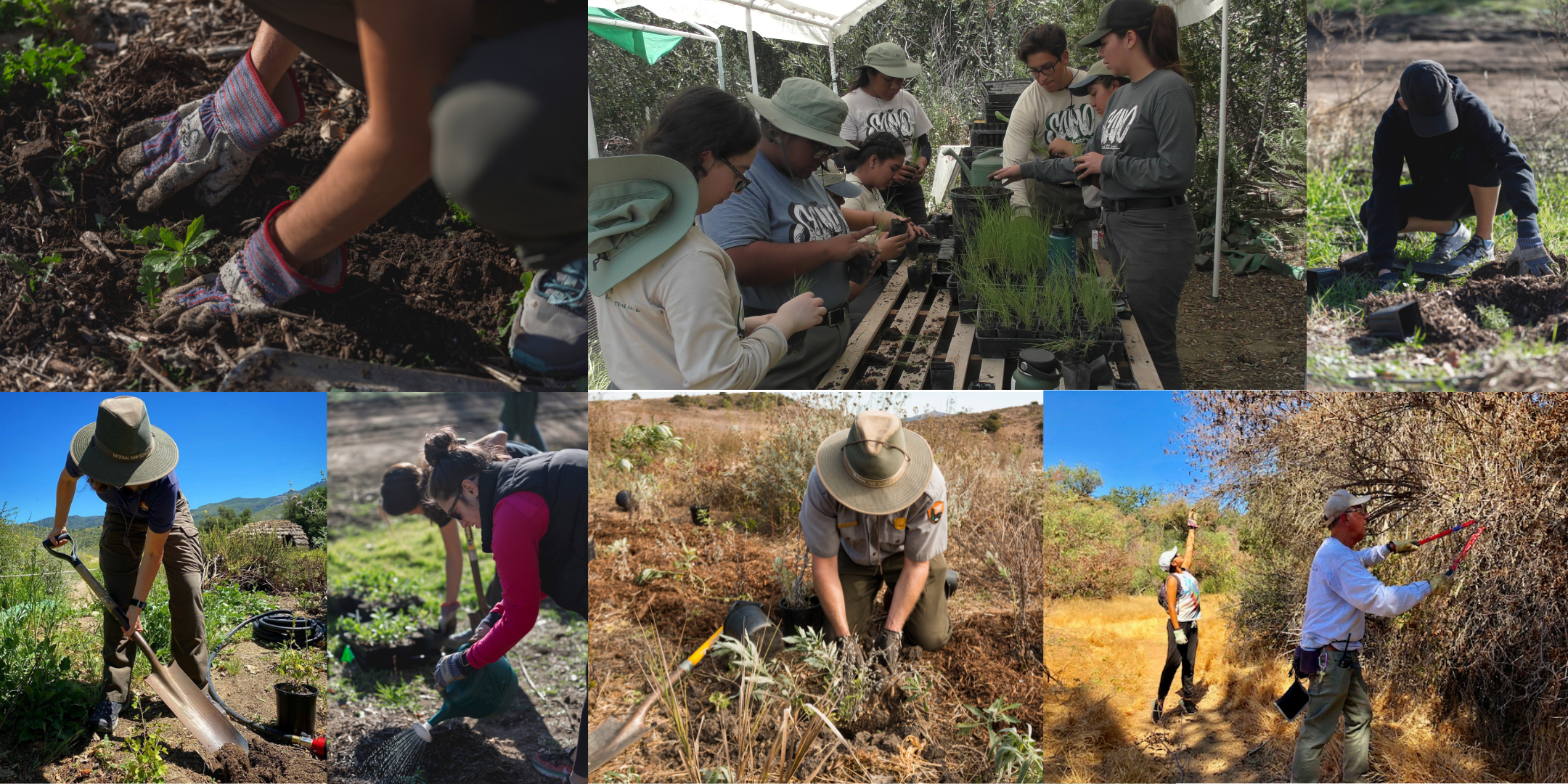 National Public Lands Day by Santa Monica Mountains National Park Service