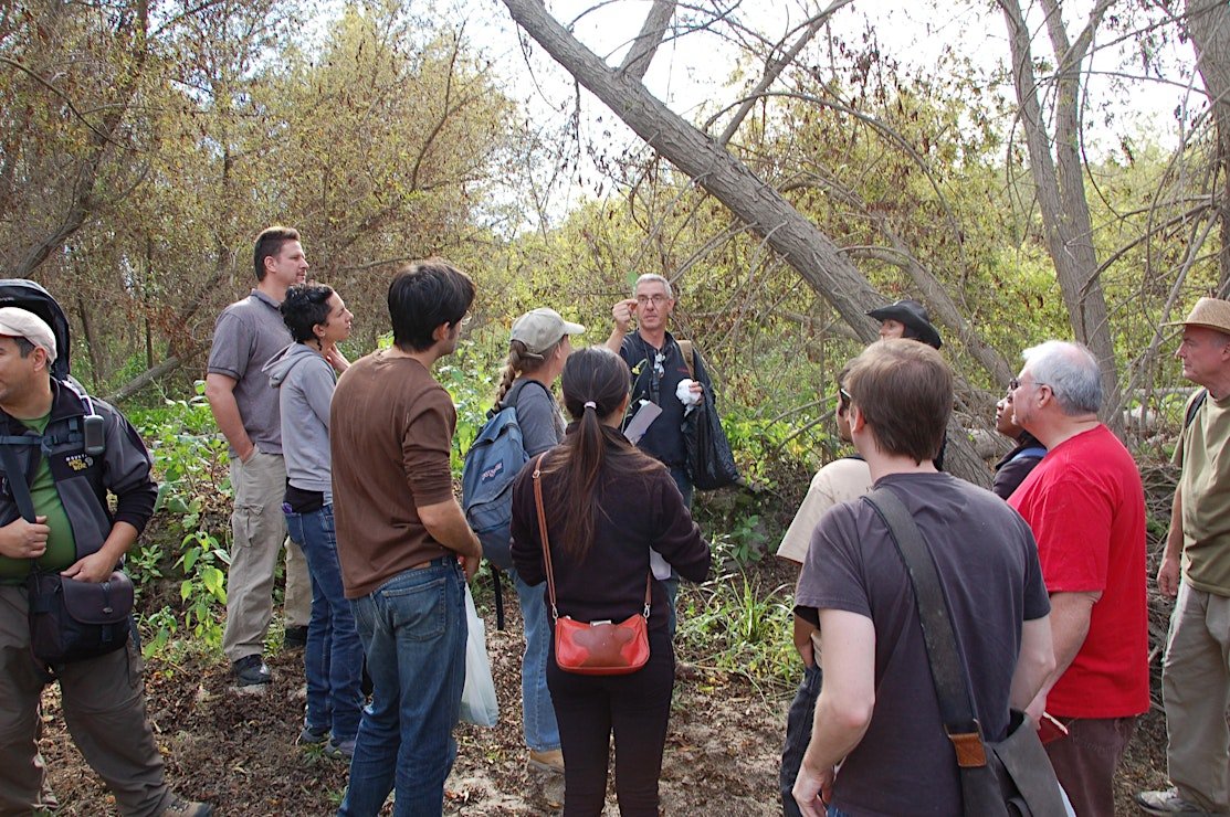 Eco-Friendly Foraging - Plants Walk / Wild Food Tasting & Drinks