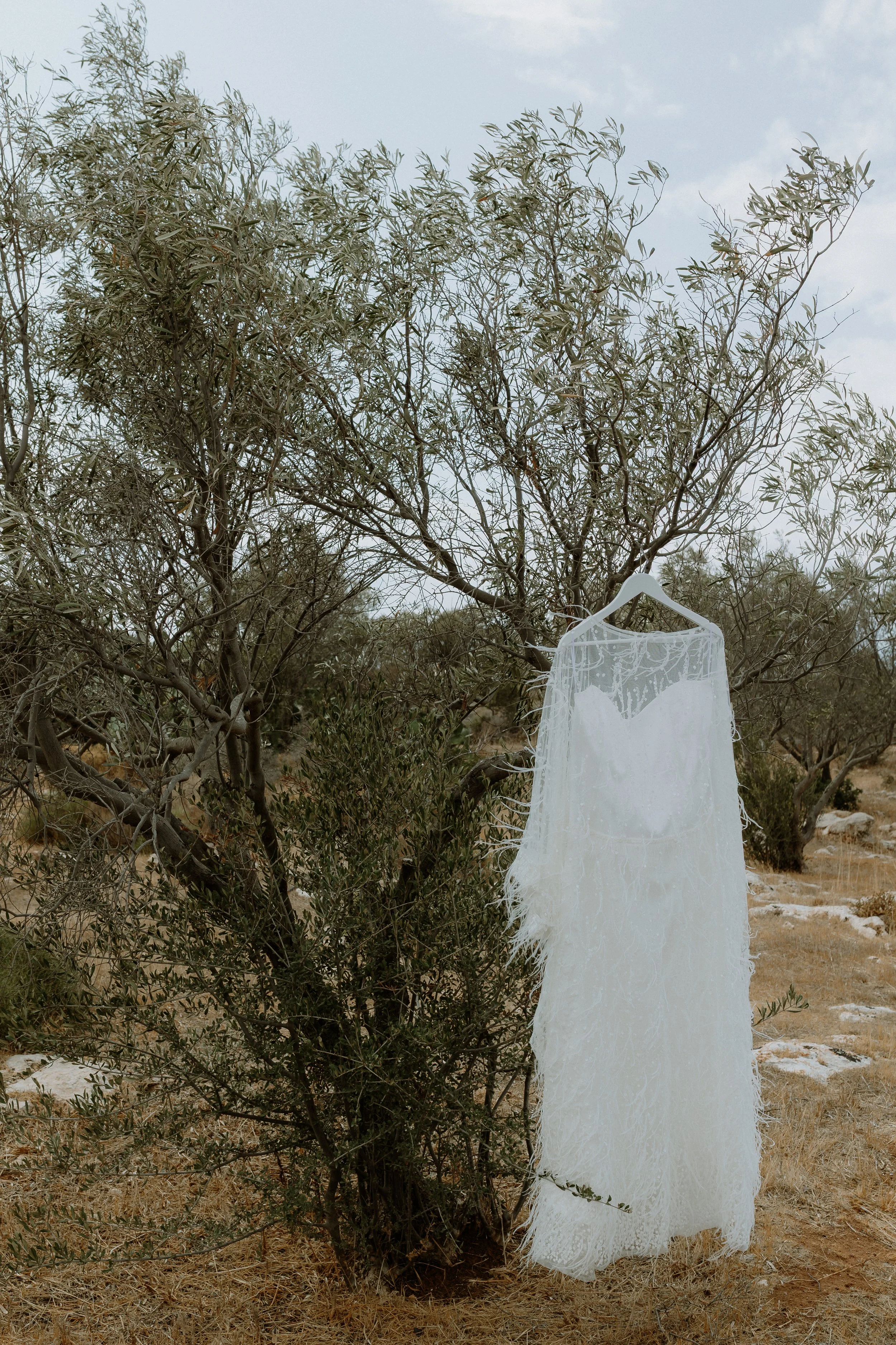 Paraskevi&Konstantinos 1.jpg