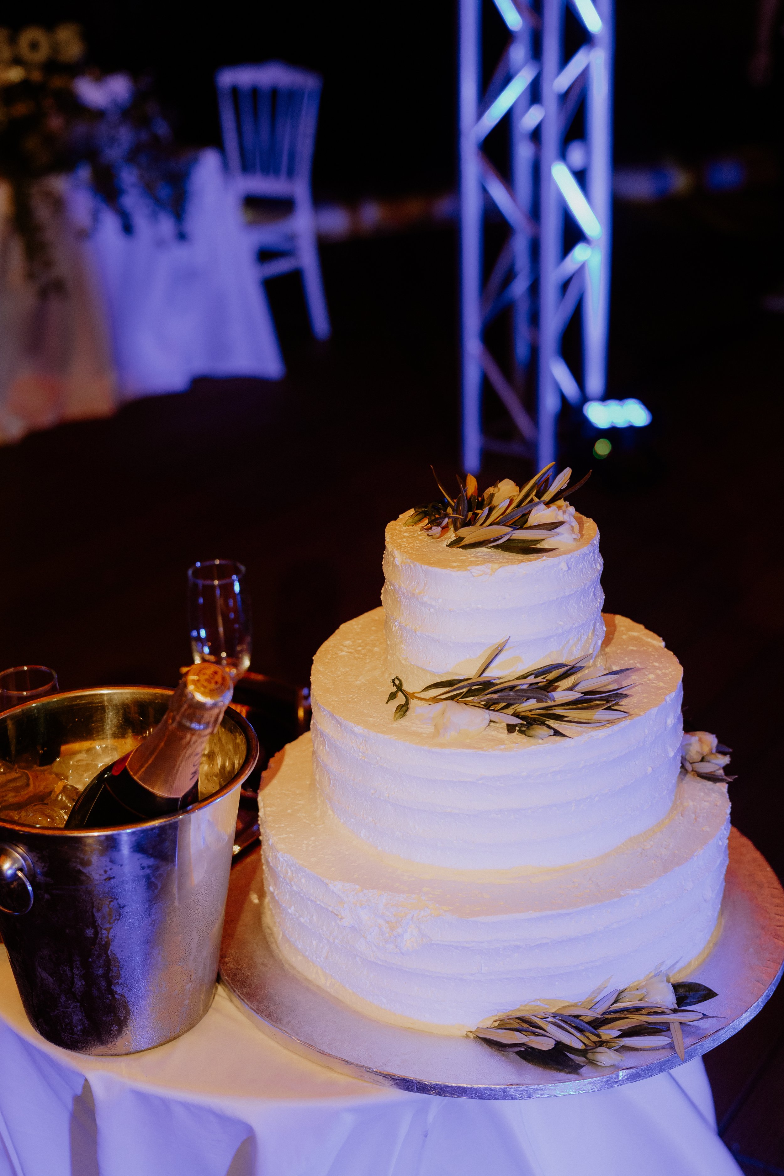 Paraskevi&Konstantinos 1179.jpg