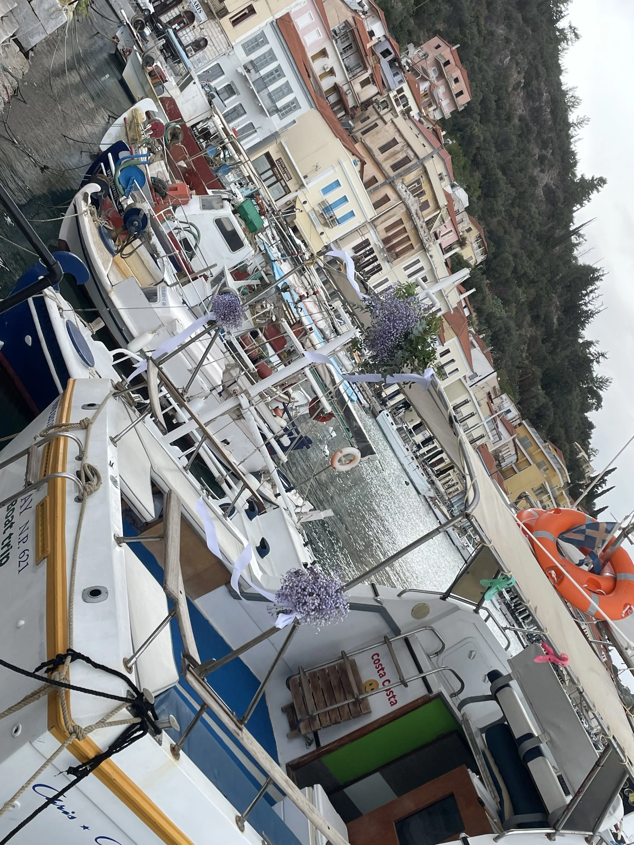 IMG_3789.jpeg
