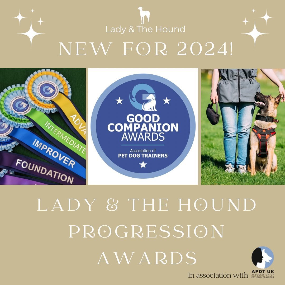 ✨New for 2024! ✨

Thank you to everyone who has been waiting patiently for our progression awards to launch, which we are delighted to be providing in association with one of our governing bodies @apdtuk 🤩

The Good Companion Awards are similar to T