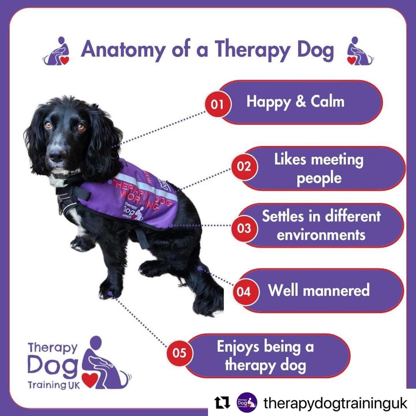 Does your dog have the right behaviour traits to enjoy therapy dog work? Drop me a DM to have a chat if you&rsquo;d like to find out more 🐾💜

Repost @therapydogtraininguk with @use.repost
・・・
Have you ever wondered what the recipe for a great thera
