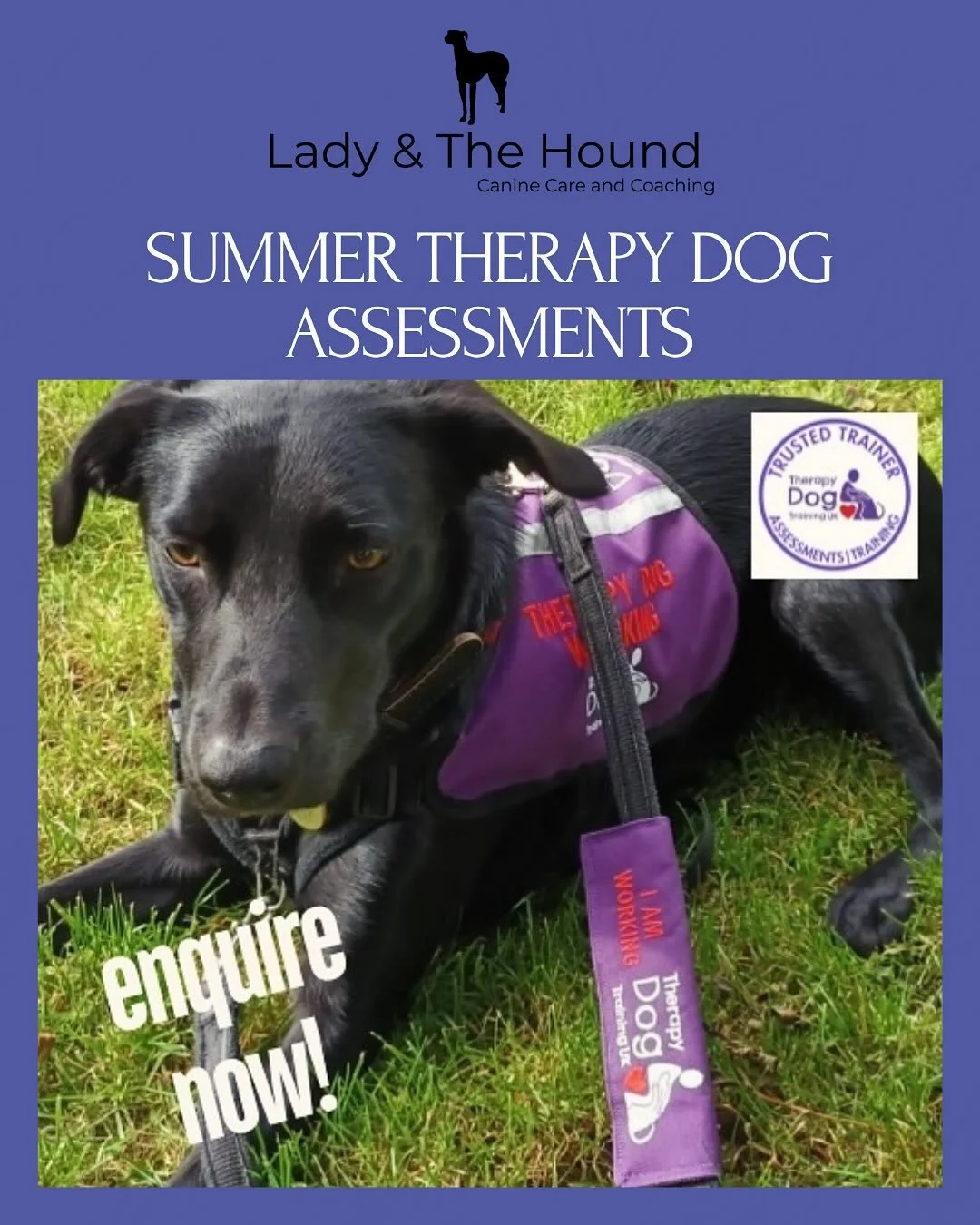 🦮 Do you have a calm and friendly dog, and work in a school or therapeutic setting?
⏰ Would you love to spend more time with your dog, and have them join you at work?
☀️Looking for something fun and rewarding to do with your dog & family this