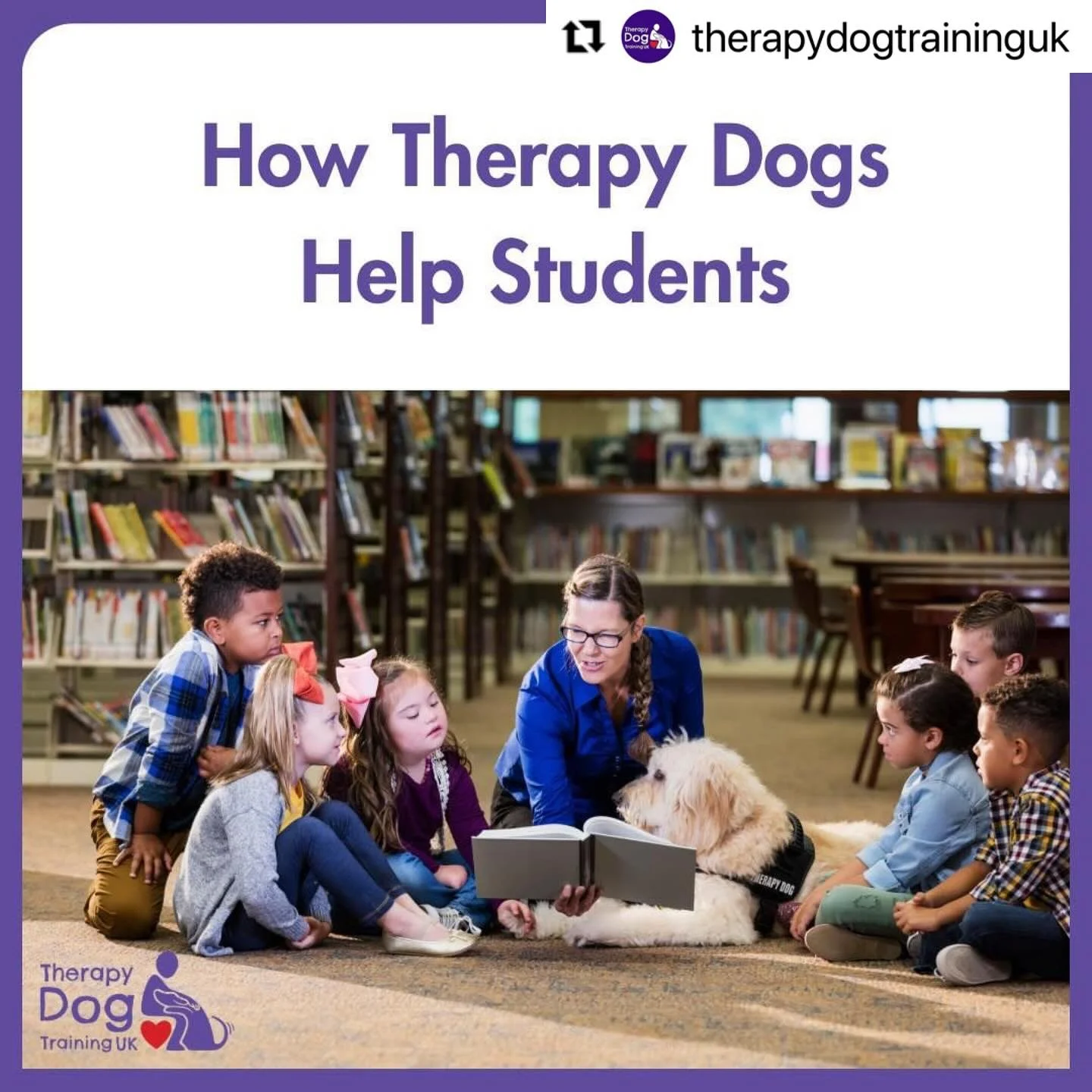 Would you and your dog make a good therapy dog team? 🐕‍🦺👦🏻👧🏾🚍🚸
I’ve got a few more pre-assessment spaces left this side of Christmas if you would like to find out more about what’s involved…drop me an IM and we can cha