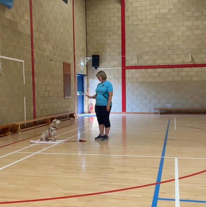 One of the most nail biting parts of our therapy dog training assessment is the 2 minute mat stay from 3 paces away (I know because Albert and I had to do this for his test too!) 😬⏳

I couldn&rsquo;t help but video the last 10 seconds of Bonnie&rsqu