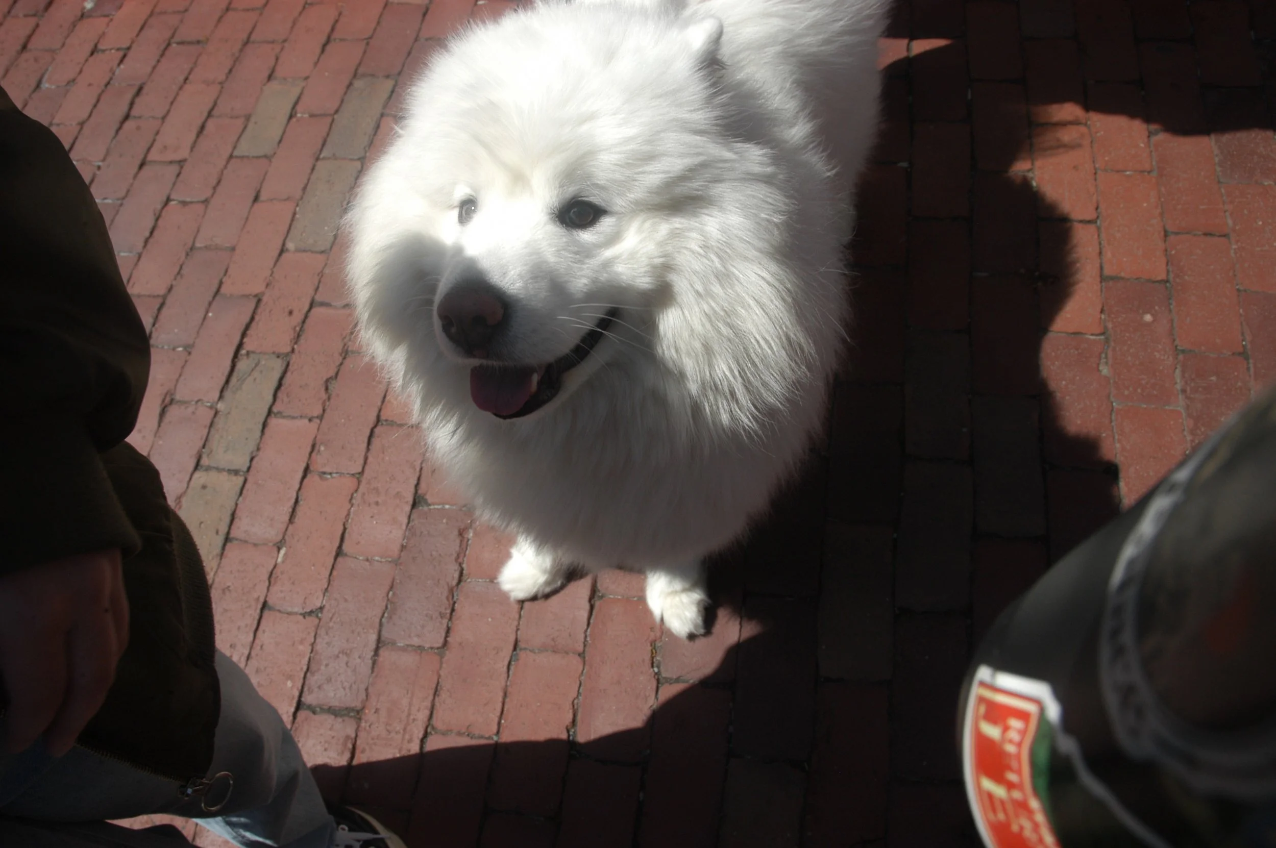 DSC_0042.JPG