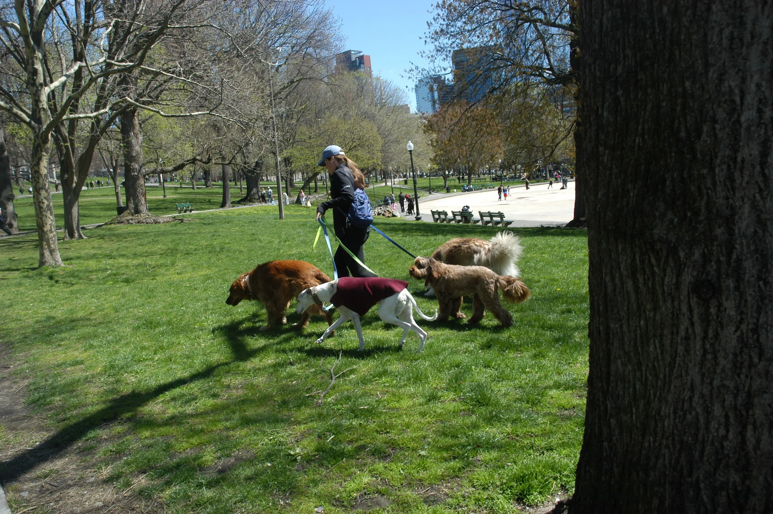 DSC_0101.JPG