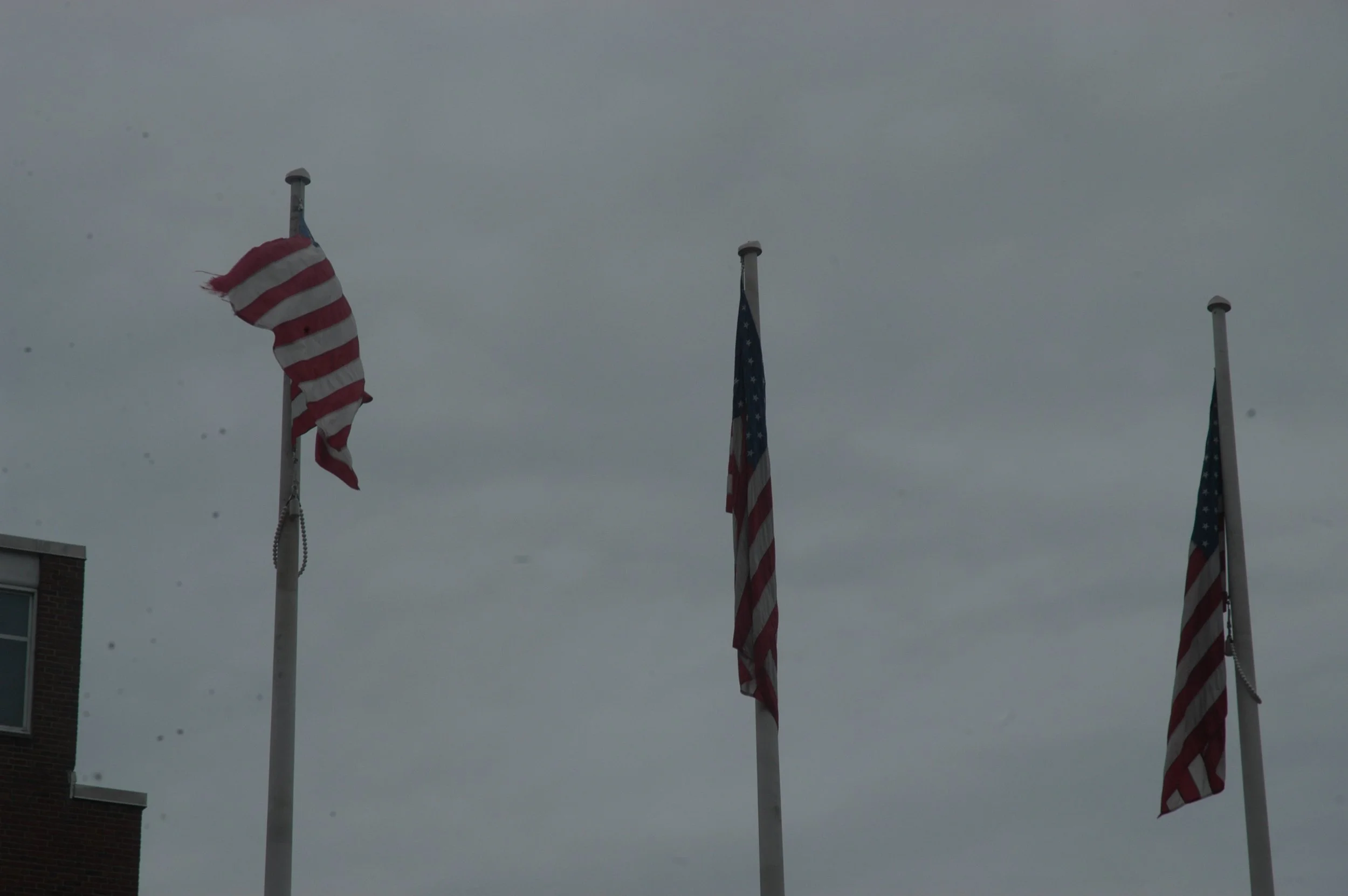DSC_0046.JPG