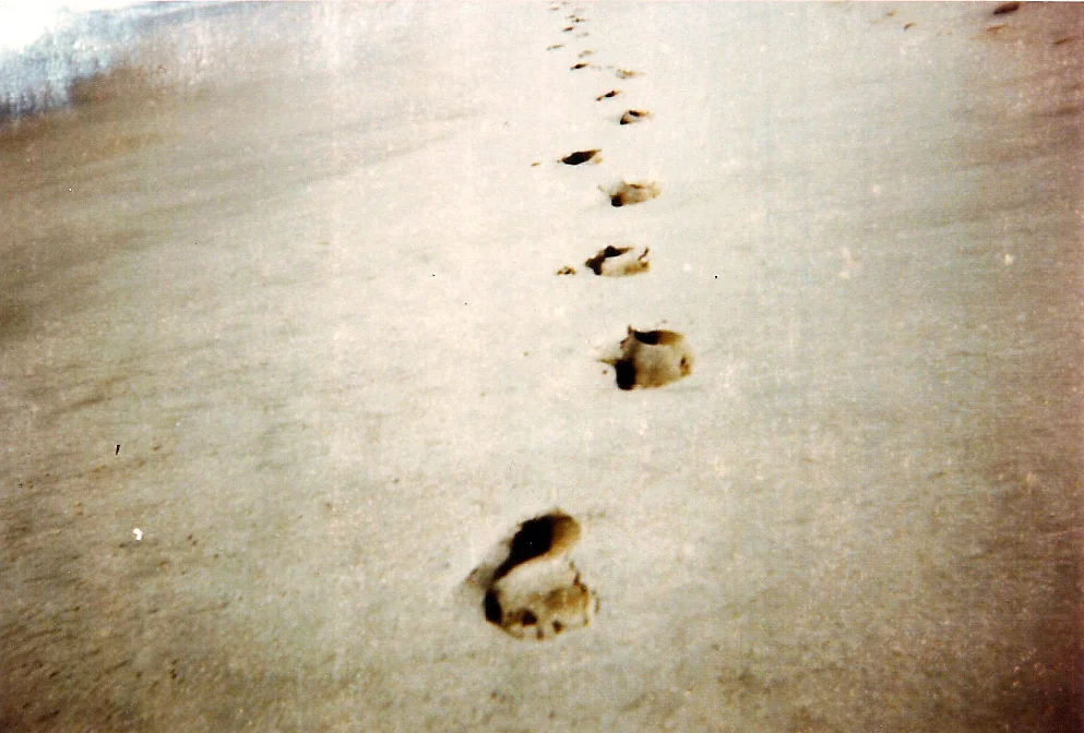 lomoaceh2.jpg