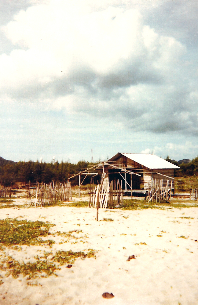 lomoaceh4.jpg