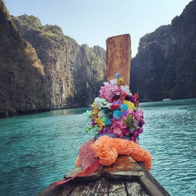 Finding Paradise