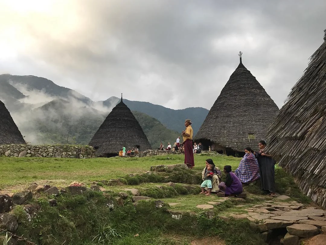 Meet the Tribe