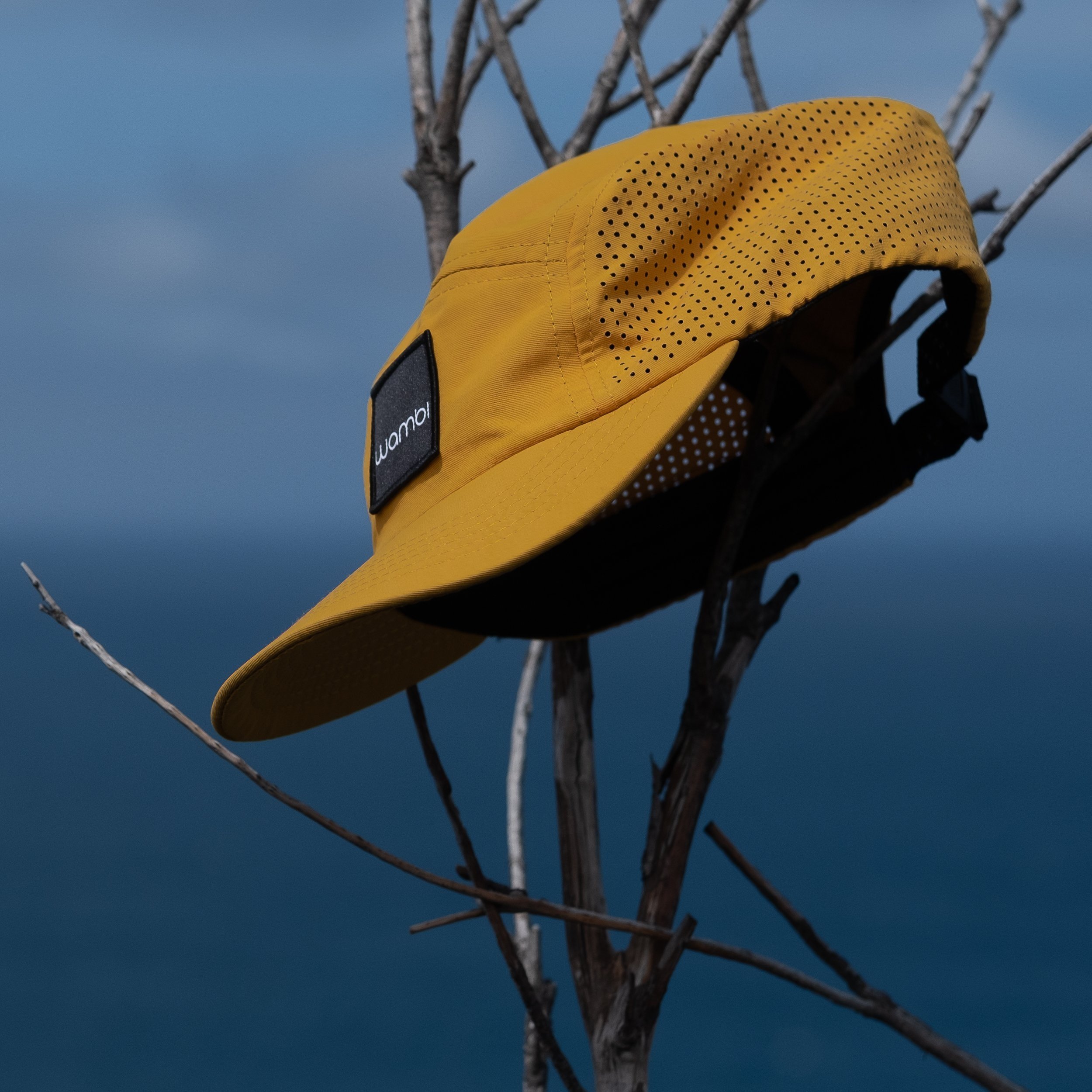 sun coloured hat in tree