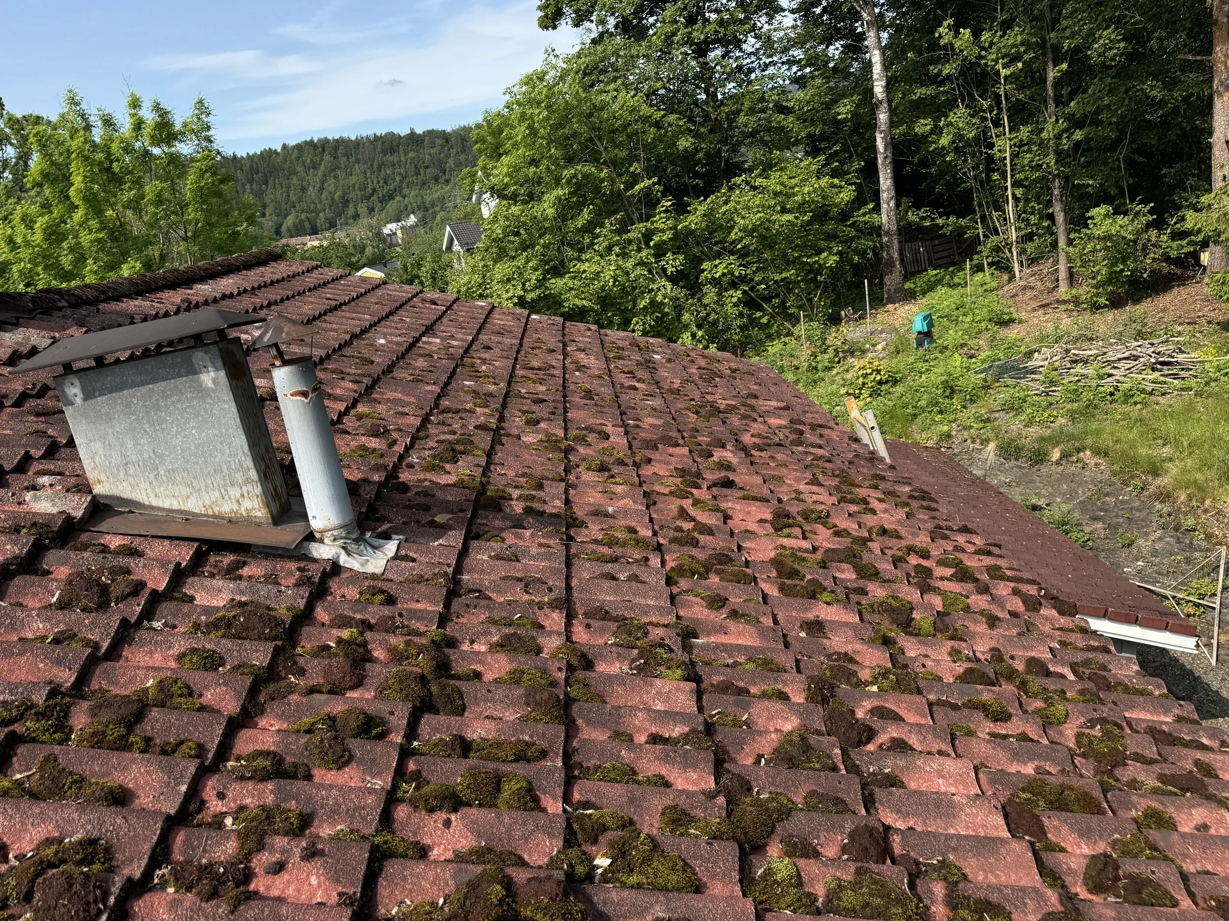 Mose og knuste takstein