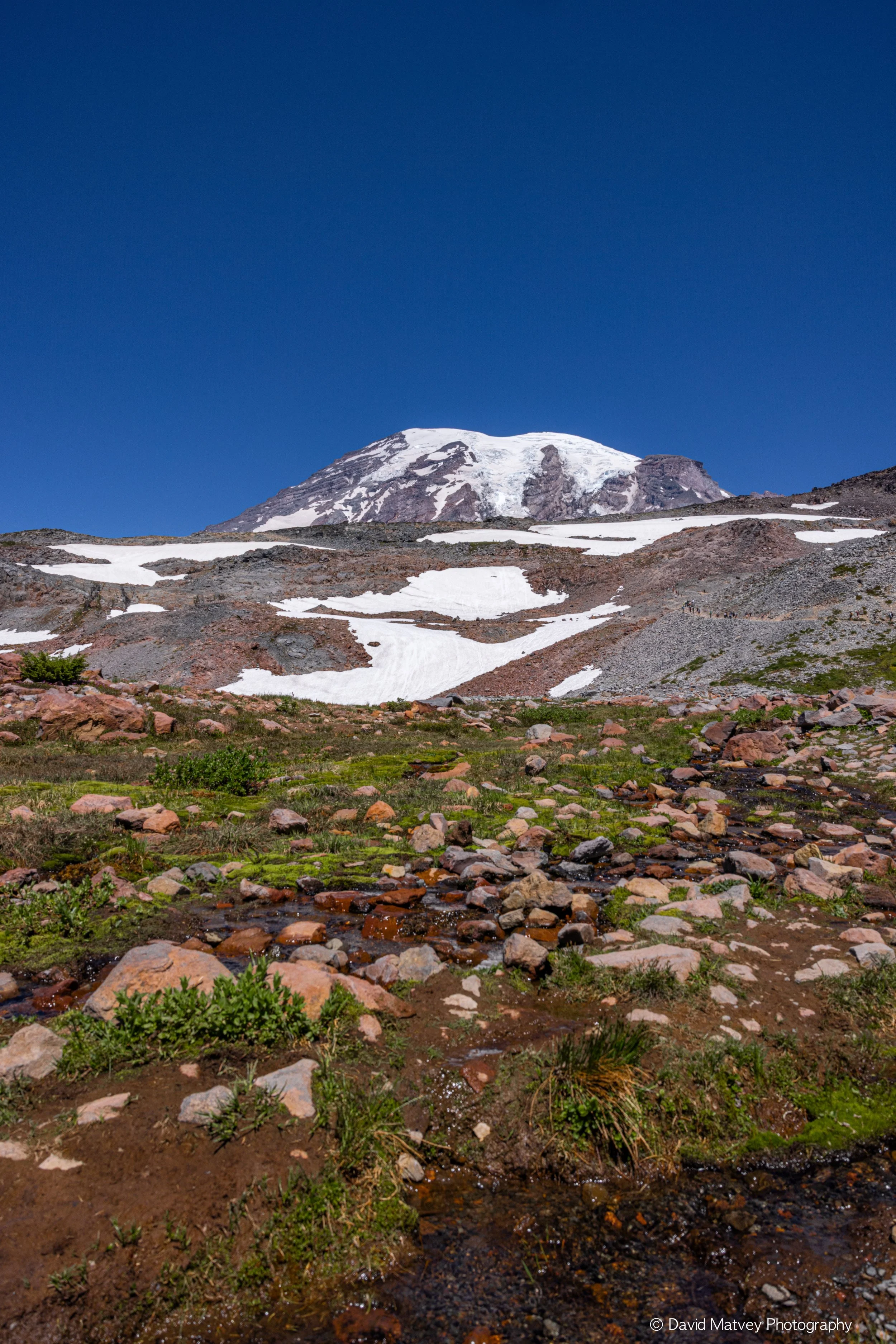 Mt Rainer Washington State