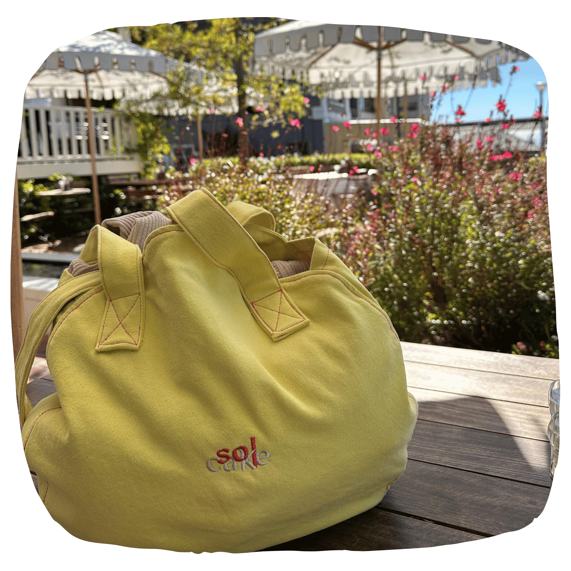 Web Symbol Assets (6).png