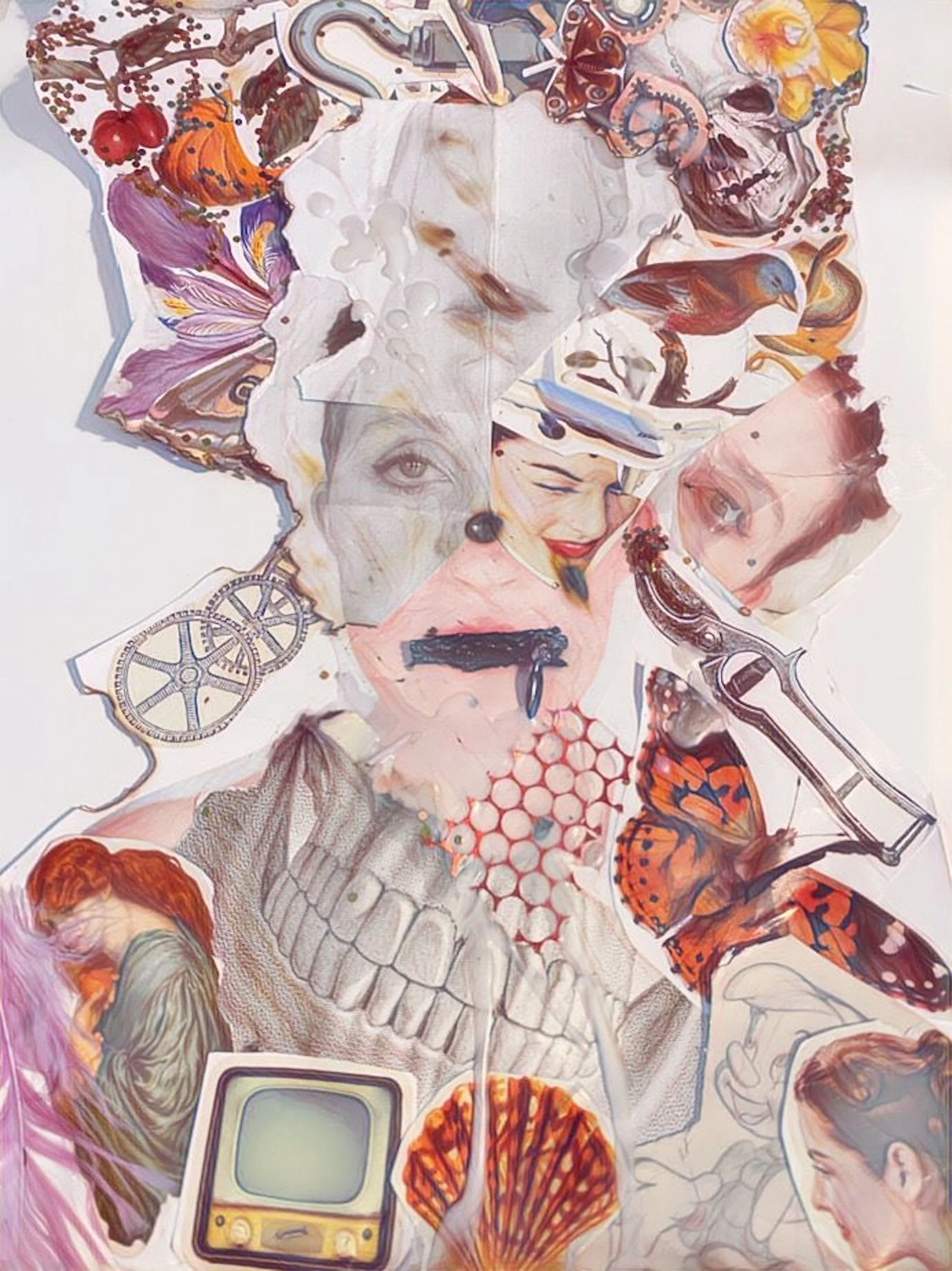 Collage of various images forming a woman's face, including butterflies, a skull, a vintage television, butterflies, gears, and various facial sketches.