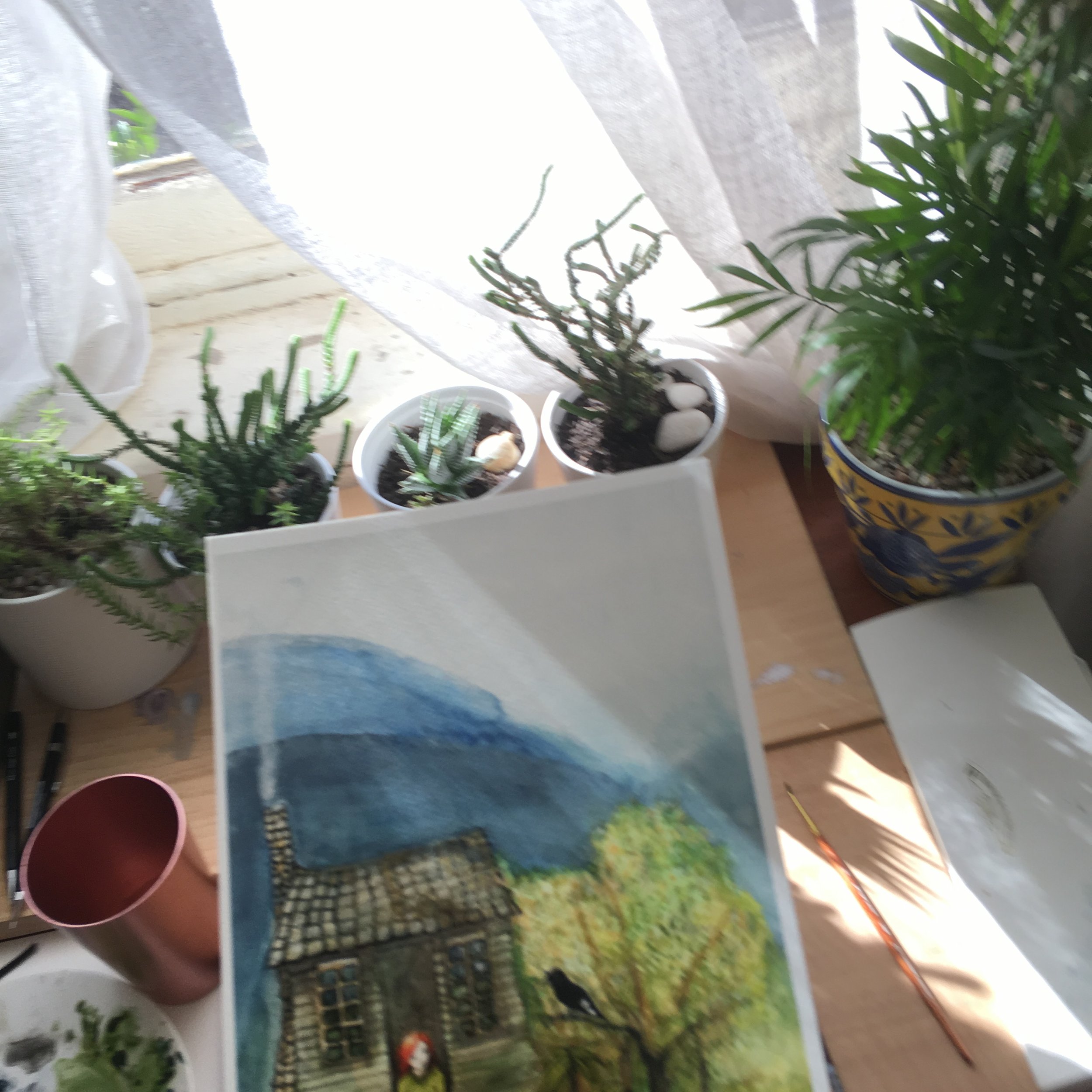 IMG_3795.jpeg