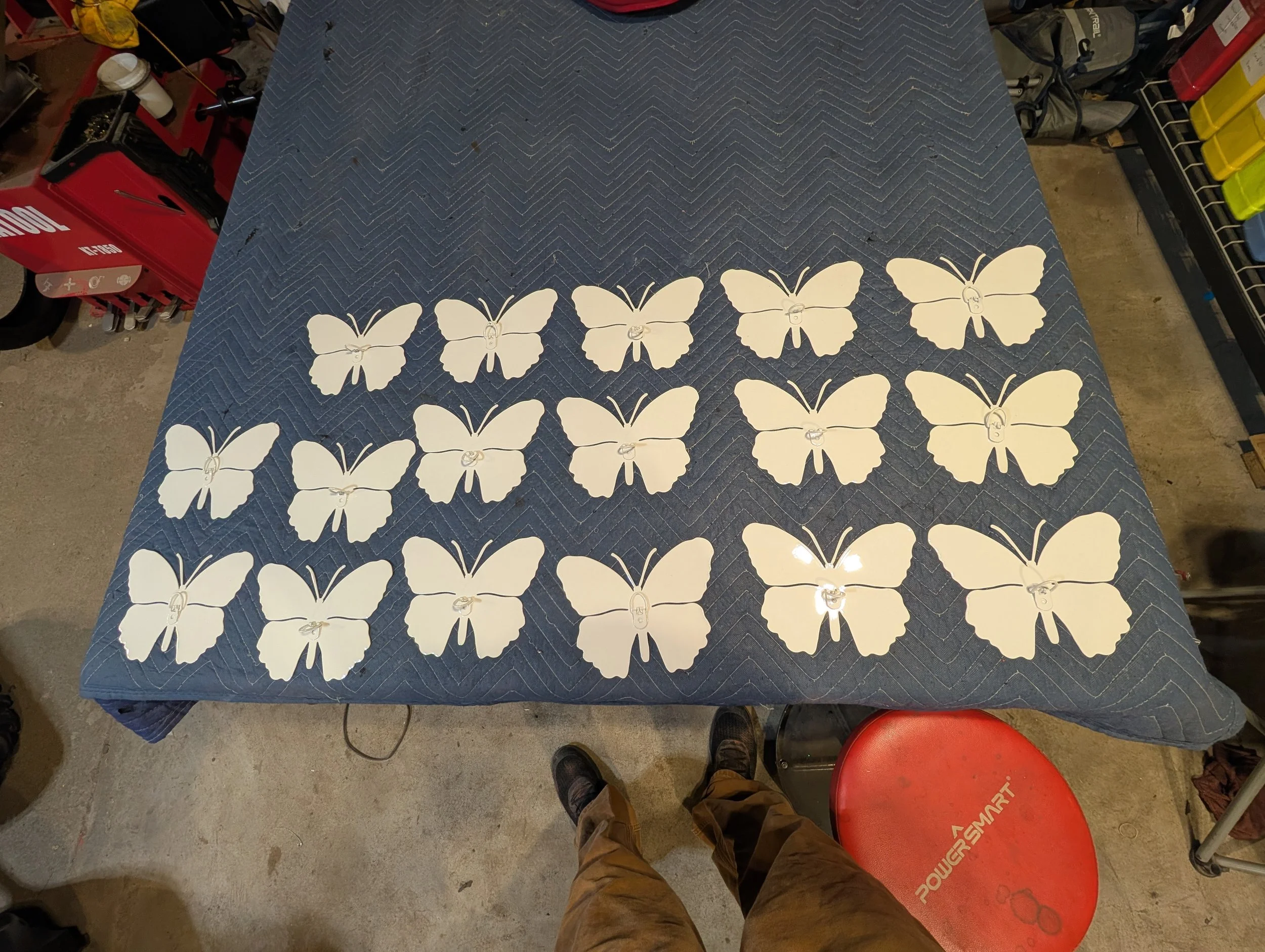 Signal White with Sublimation clear