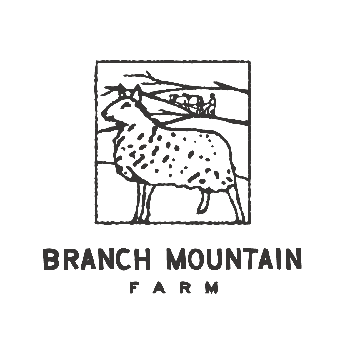 Branch Mountain Farm