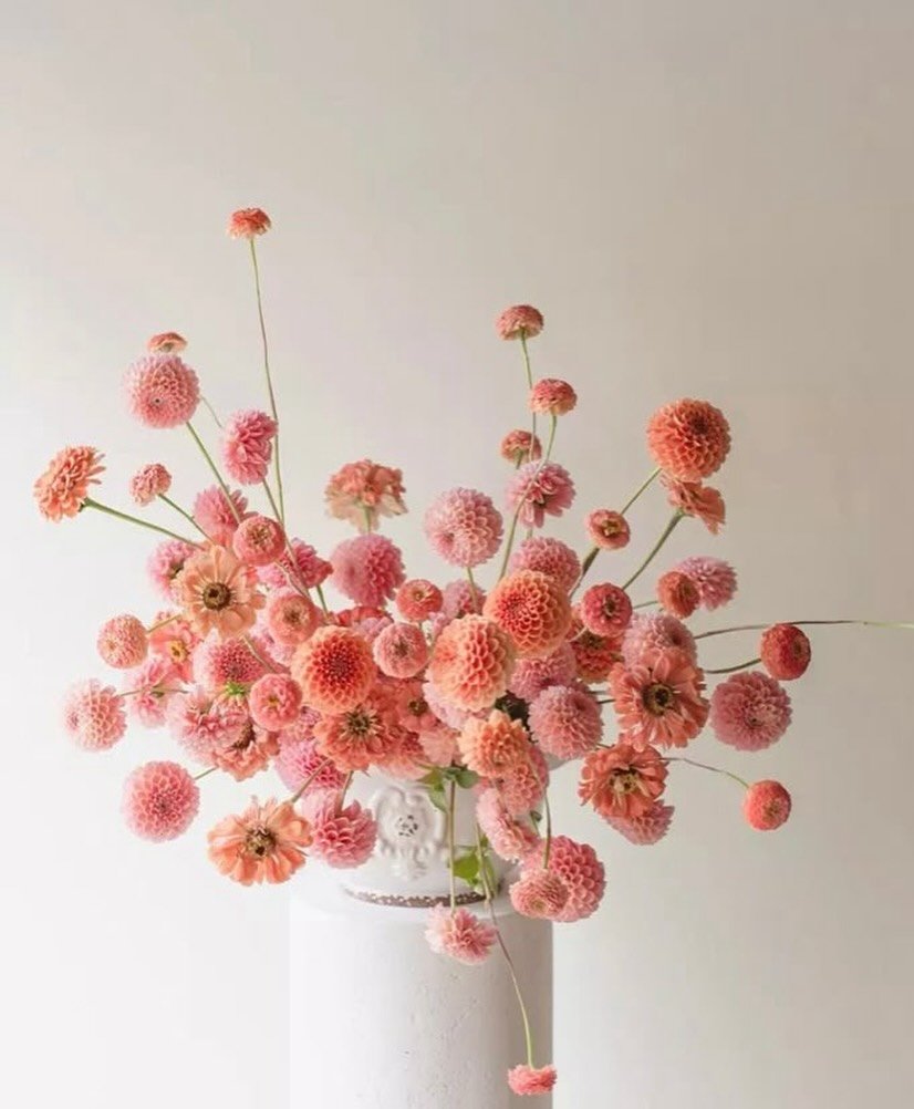 Bouquet inspo 💐

{image sourced from Pinterest} Come and follow us on Pinterest for lots more wedding inspiration. 

#weddingflowersinspiration #weddingbouquets #pink #bridalstyle #modernbride