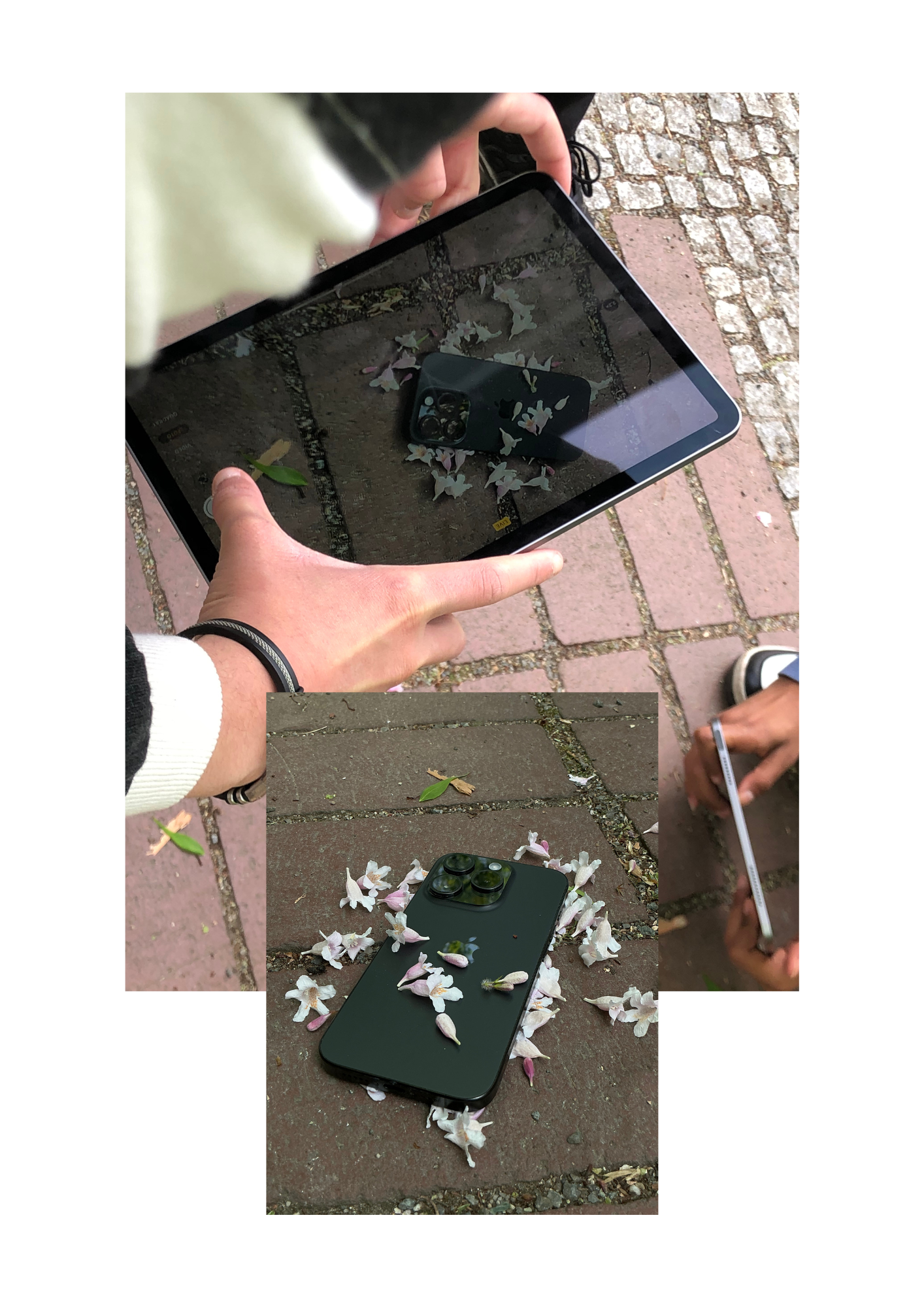 13.png