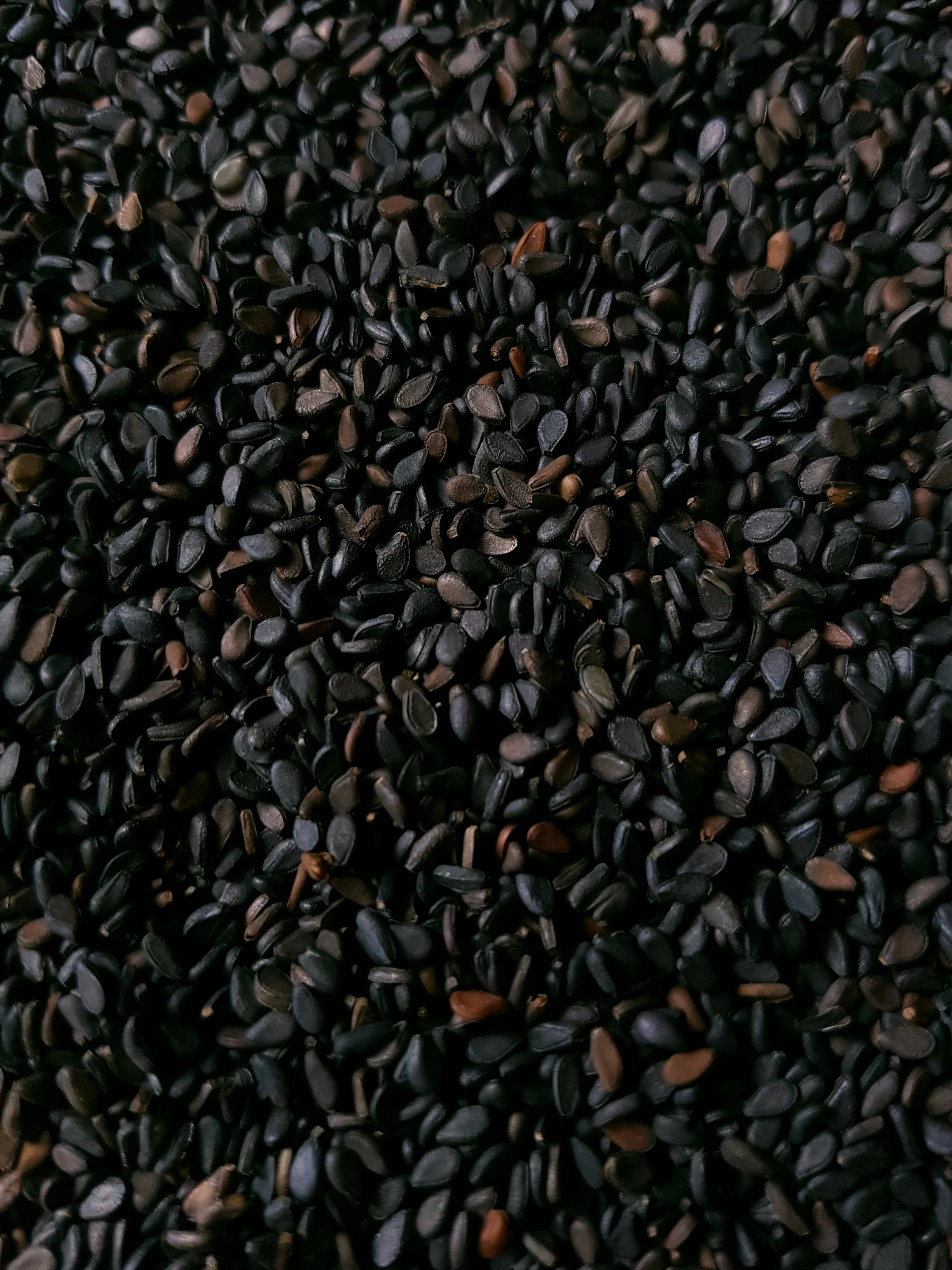 Close-up of black sesame seeds with some brown seeds among them.