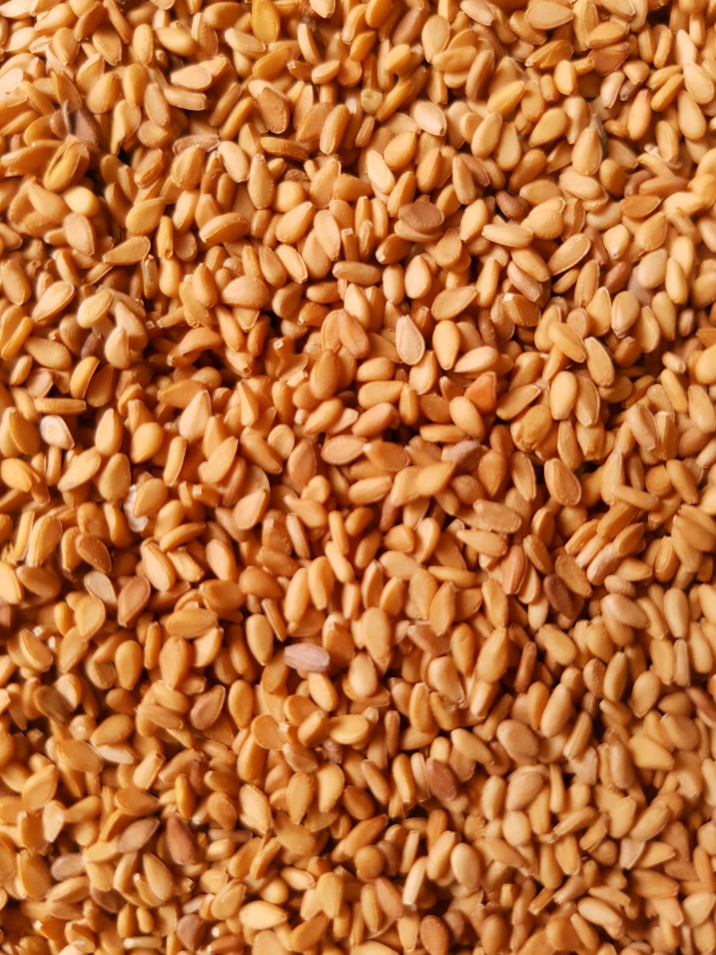 Yellow White Sesame Seed (3).jpg