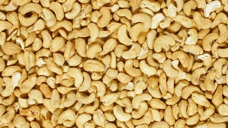 Cashew Nut