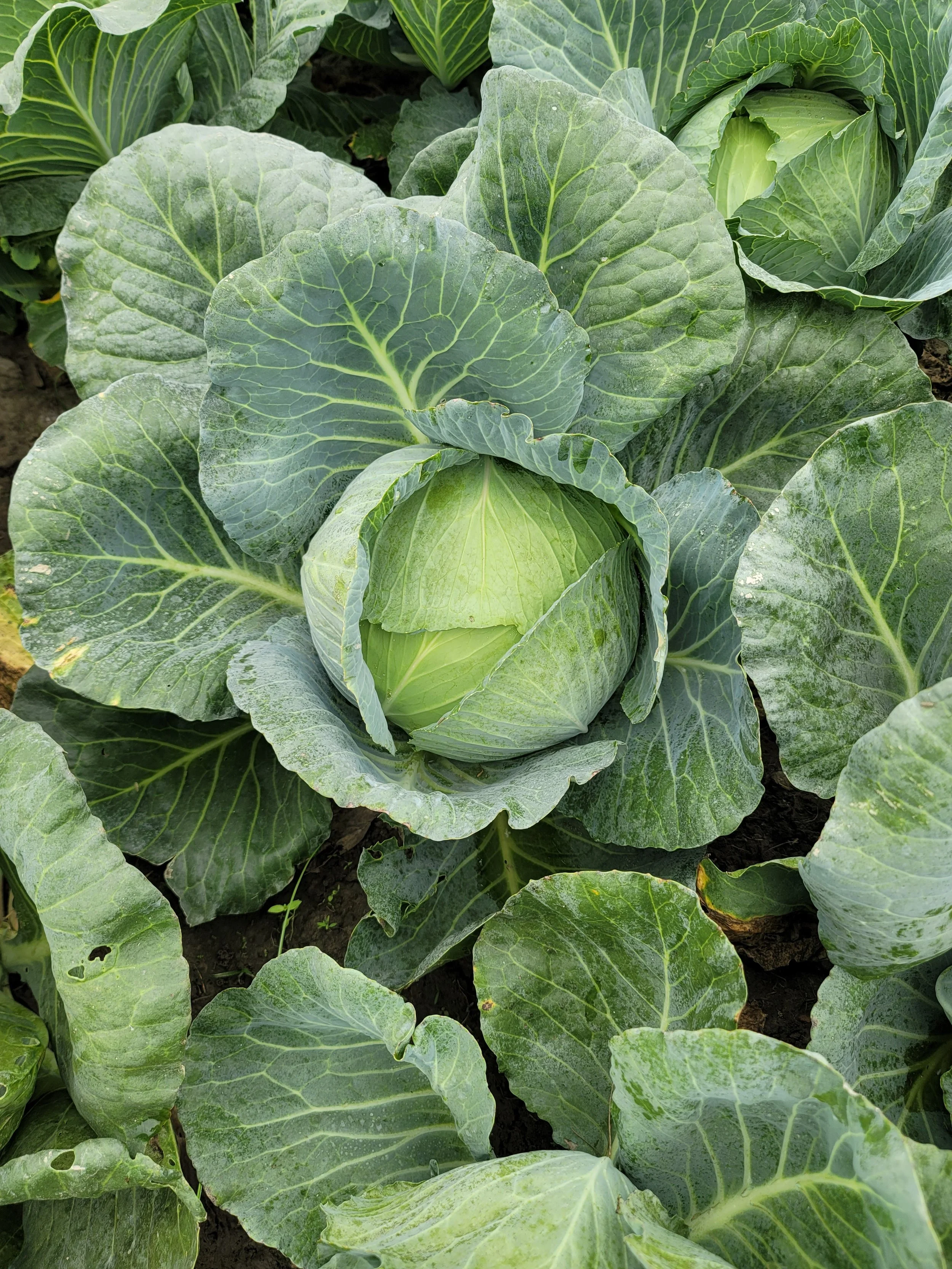 20211204_125803 (1).jpg