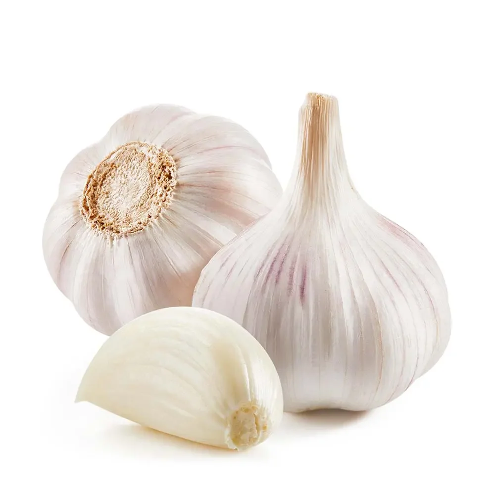 China Garlic