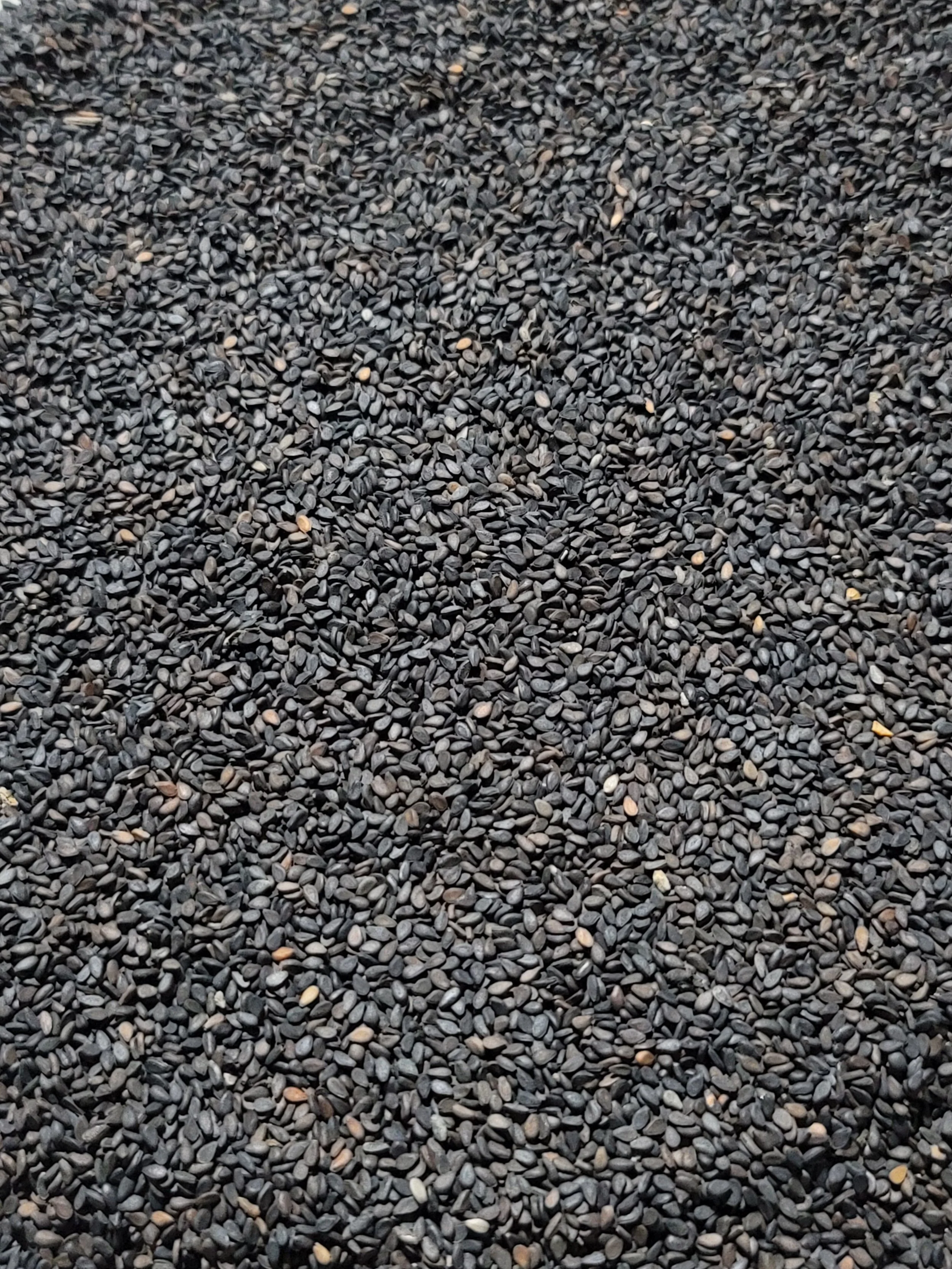 Close-up view of black sesame seeds spread on a surface.