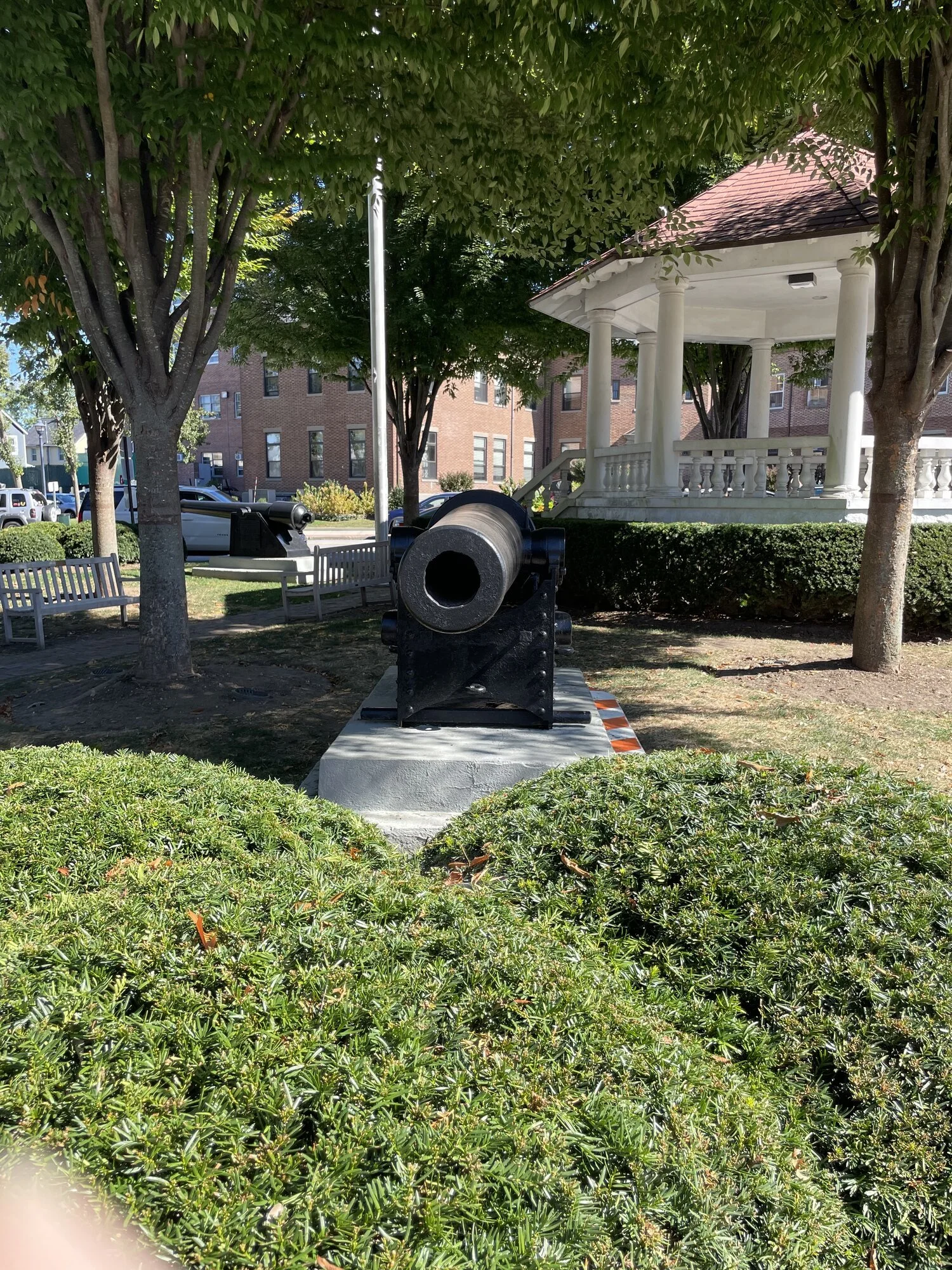 60 Pounder Number 5.jpeg