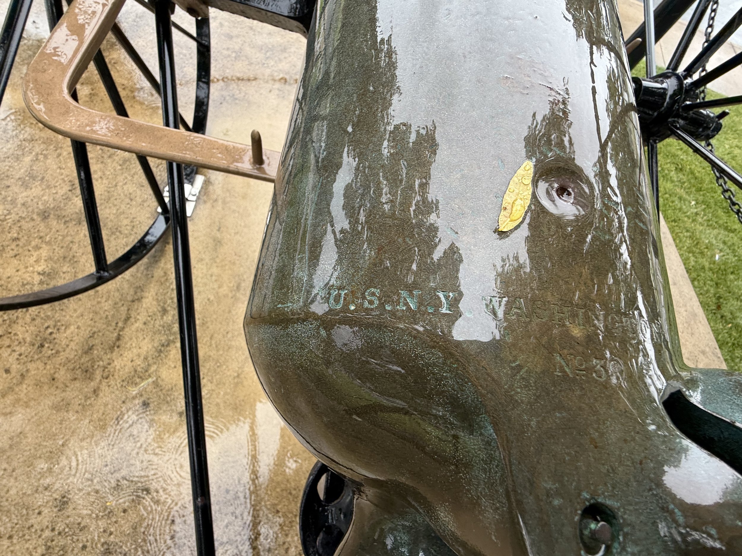 IMG_1403.jpeg