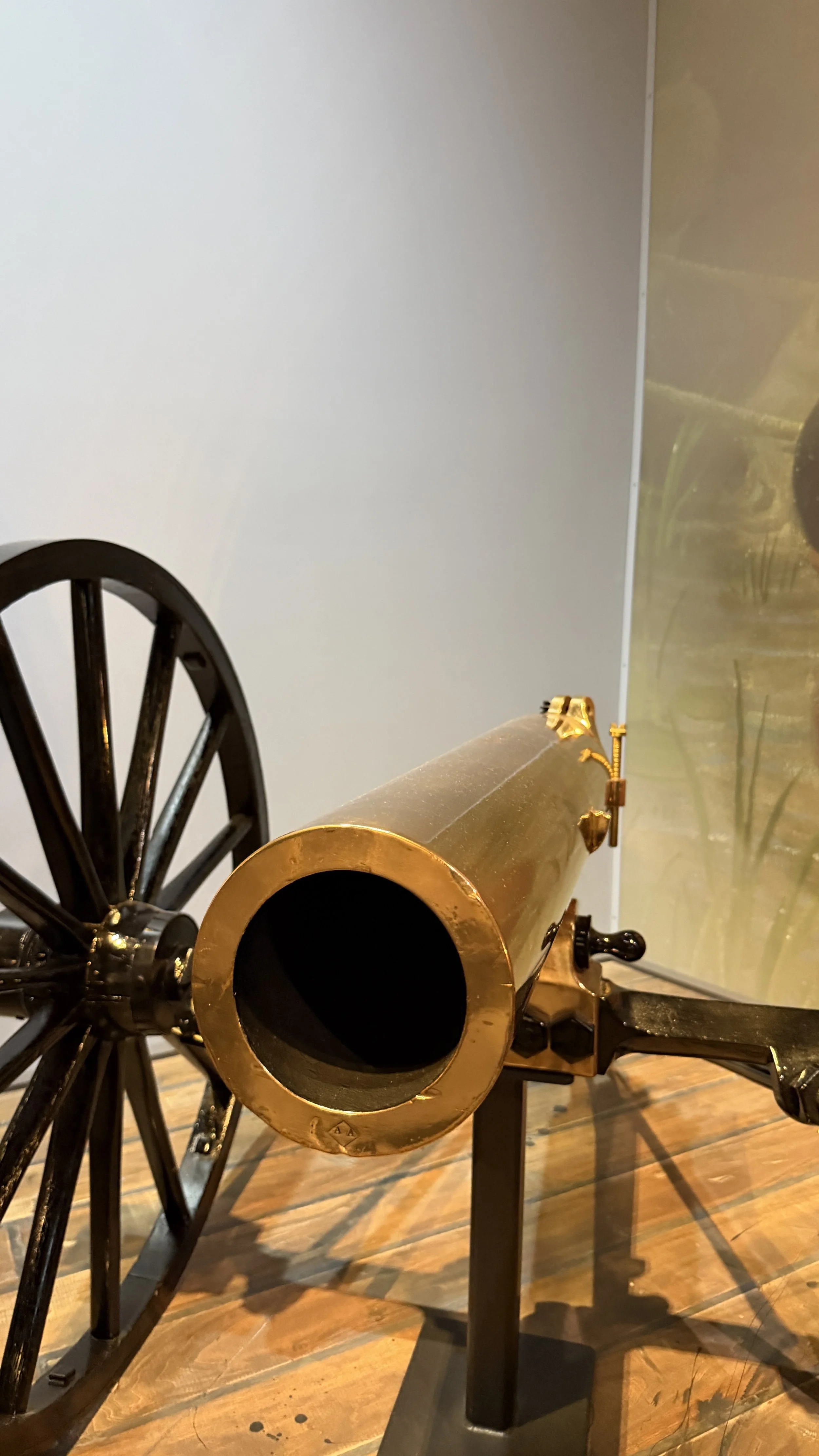 The rear sight is visible in this photo