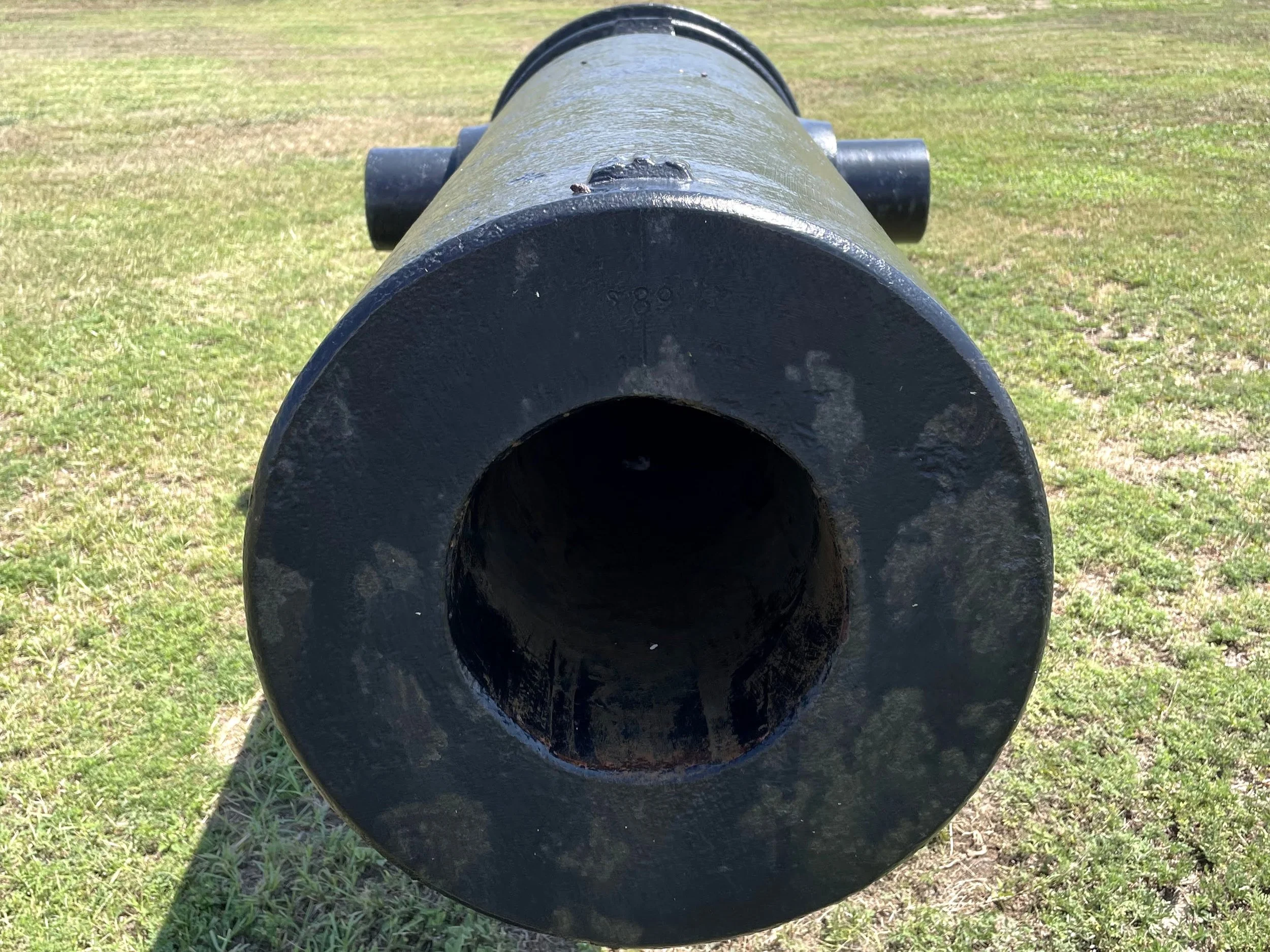 “S89” may be seen stamped on the upper muzzle of the Brooke.