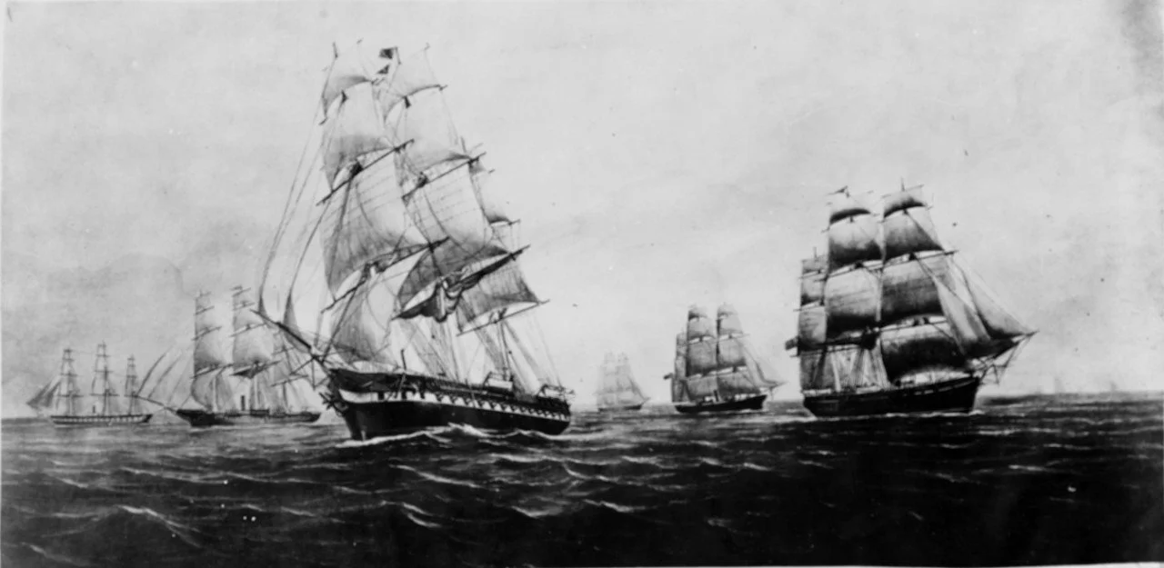 Illustration of Several sailing and steam ships of the US Navy on the European Station in 1872