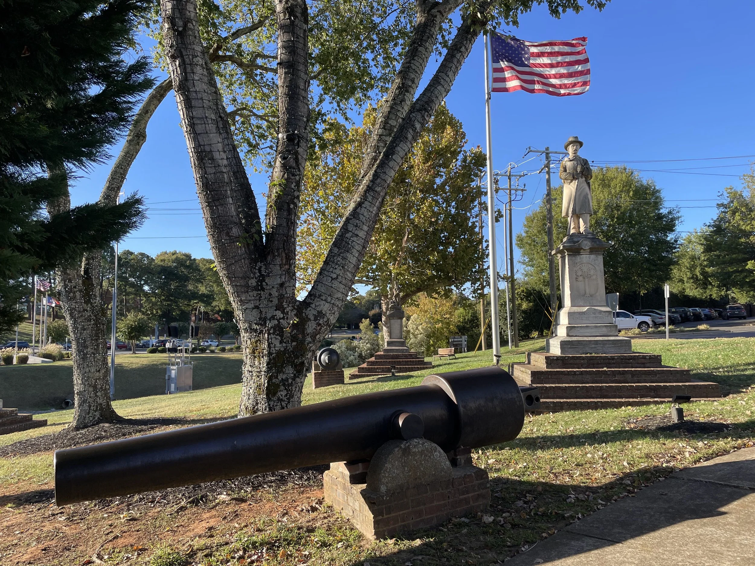 The 100-Pounder Parrott Rifles of Fort Mill, South Carolina