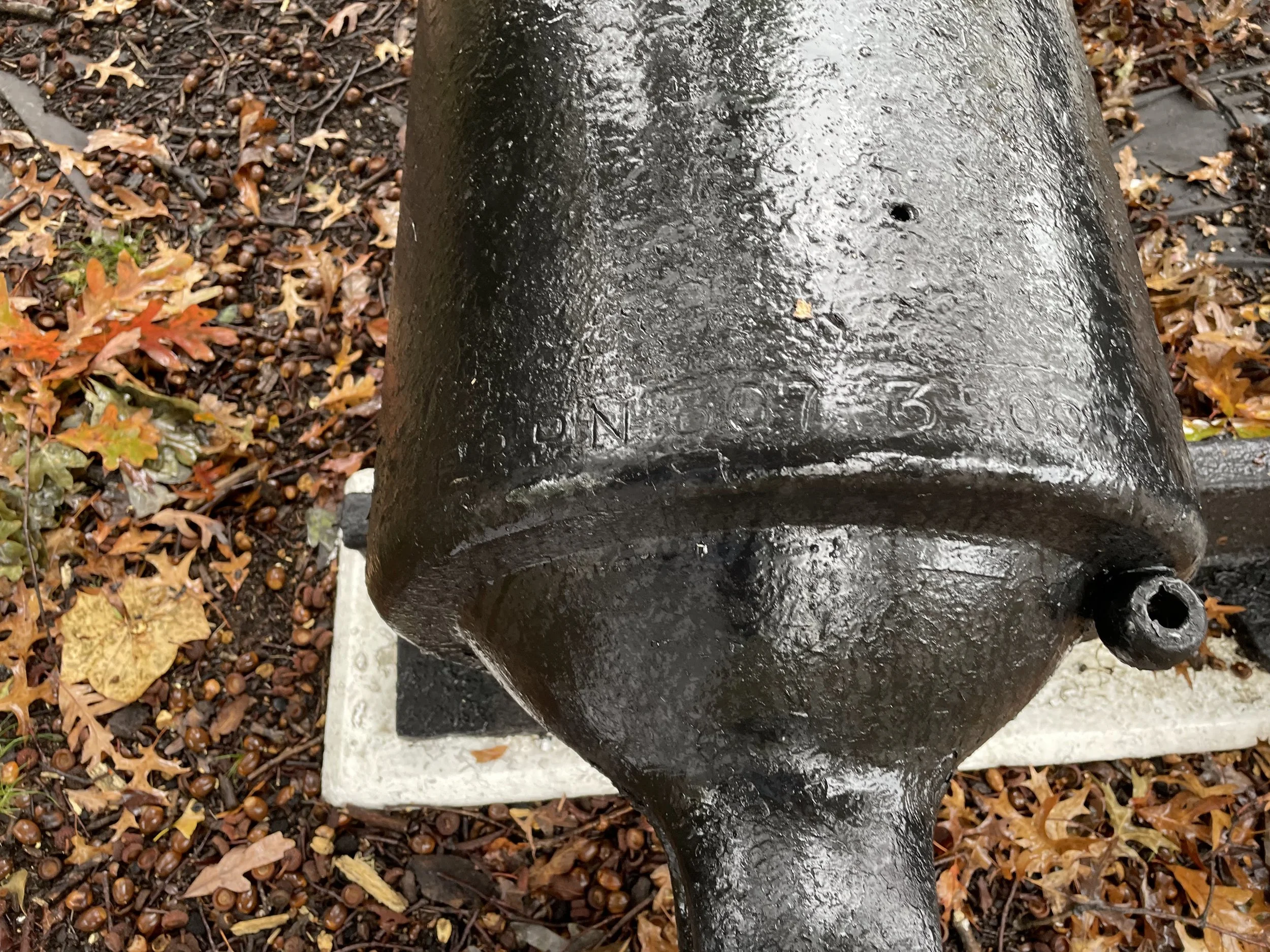 The Registry Number 307 and weight 3,500 may be seen on the breech of the Parrott.