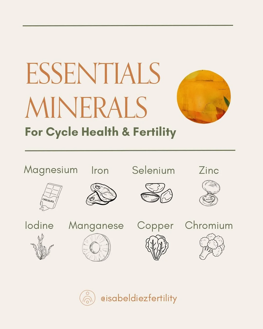 Minerals are essential for many functions in our bodies. Of course, there are many more important minerals, but these are directly linked to hormone balance and fertility.  I like testing at least zinc, iron and magnesium levels as part of the precon