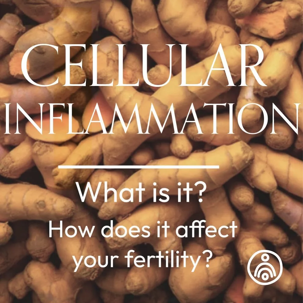 Inflammation is your body&rsquo;s natural way of protecting itself from harm&mdash;like fighting off infections or healing injuries. But when it happens at the cellular level and becomes chronic, it can silently disrupt vital processes in your body, 