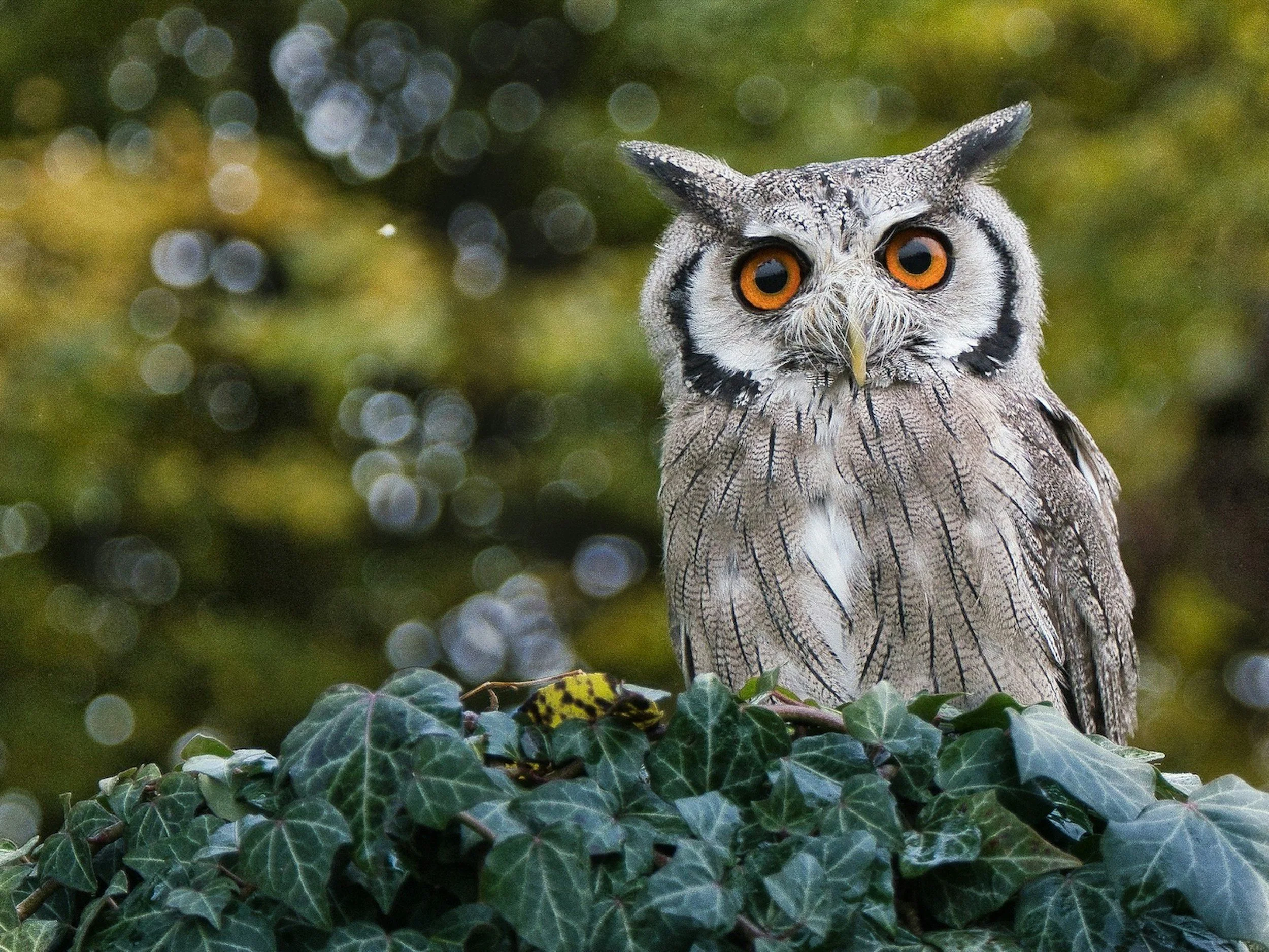 unsplash-image-LEWbO3MqUsM.jpg