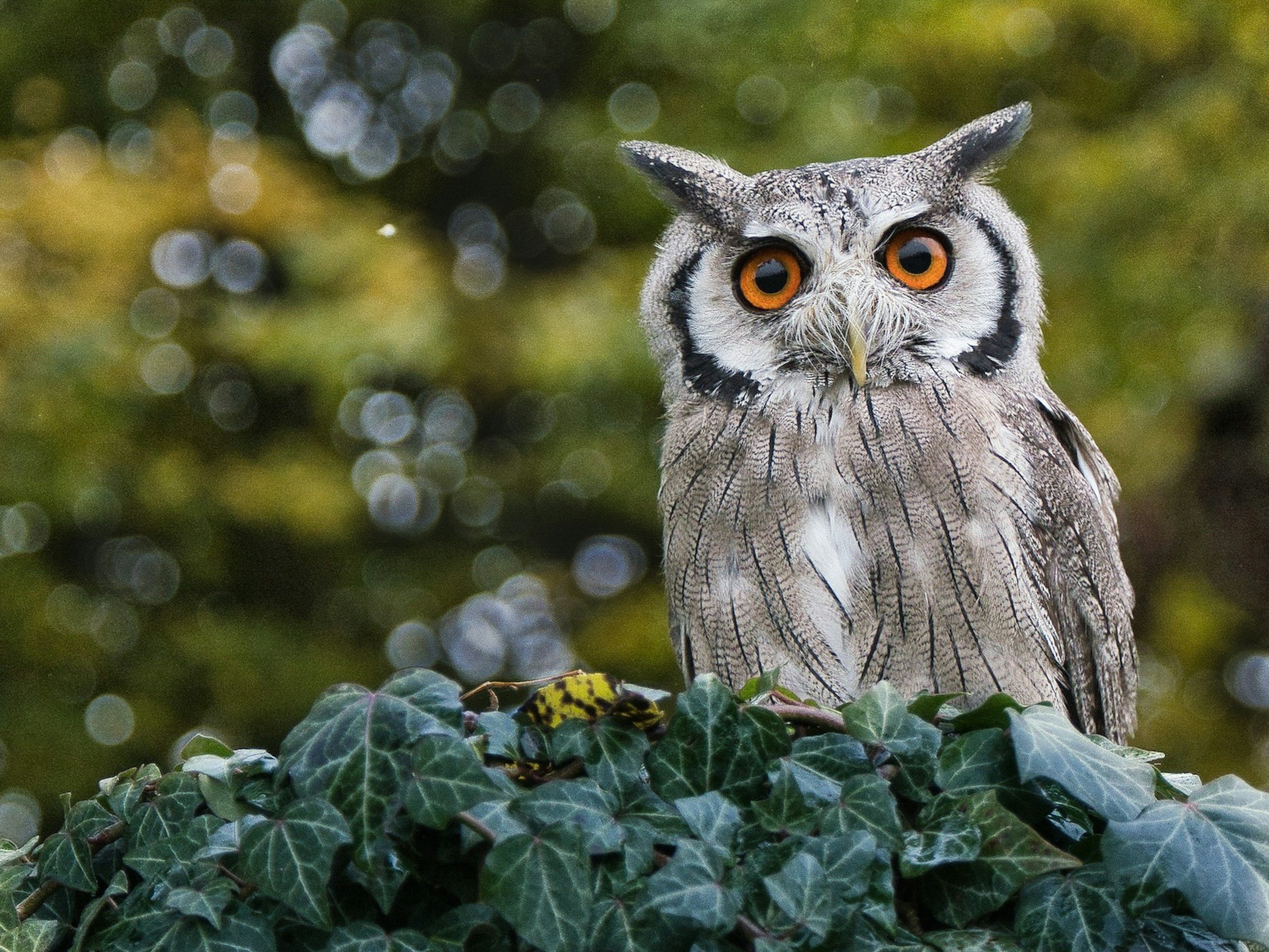 unsplash-image-LEWbO3MqUsM.jpg