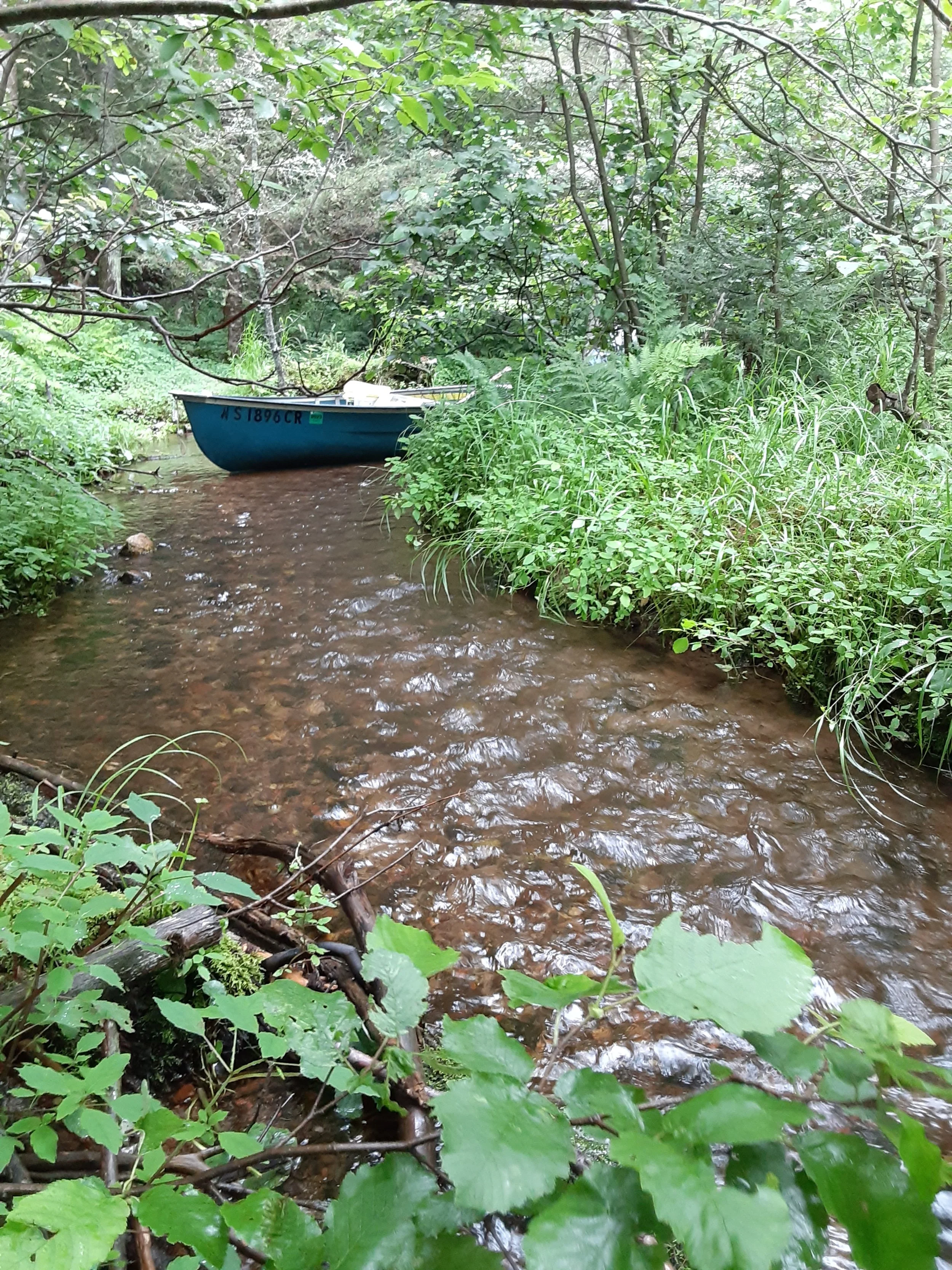 Adventure In The Northwoods