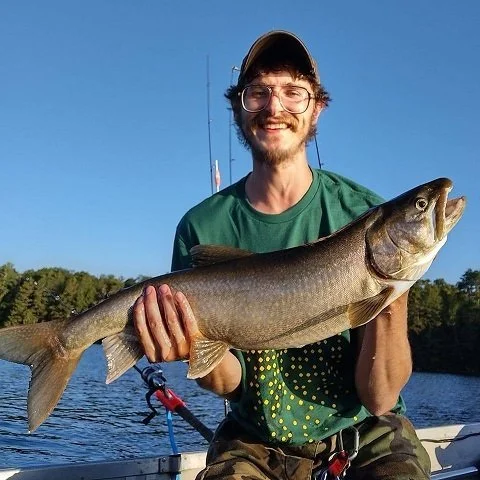 Lake Trout