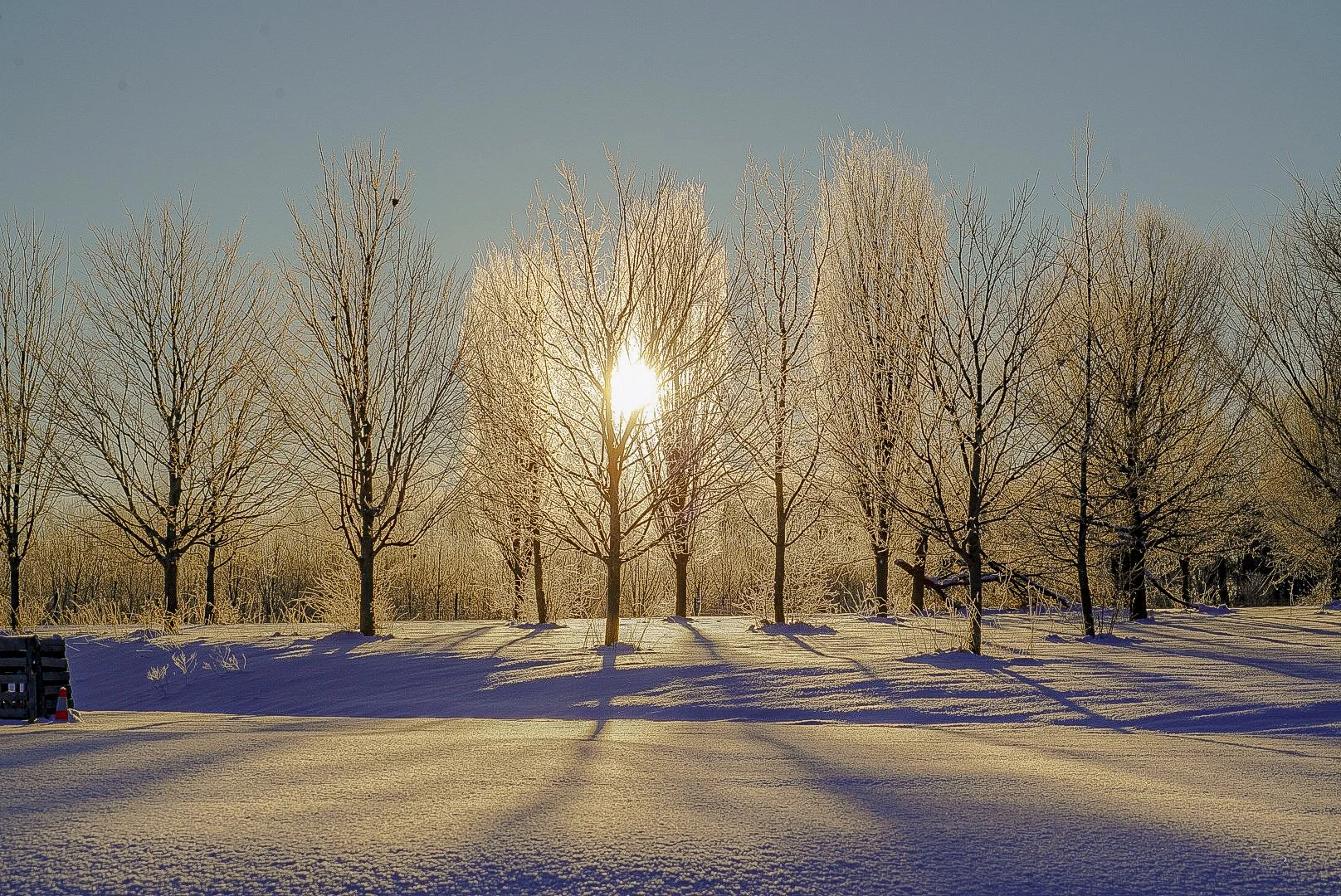 Frozen Sun 6 2.1.26.jpg