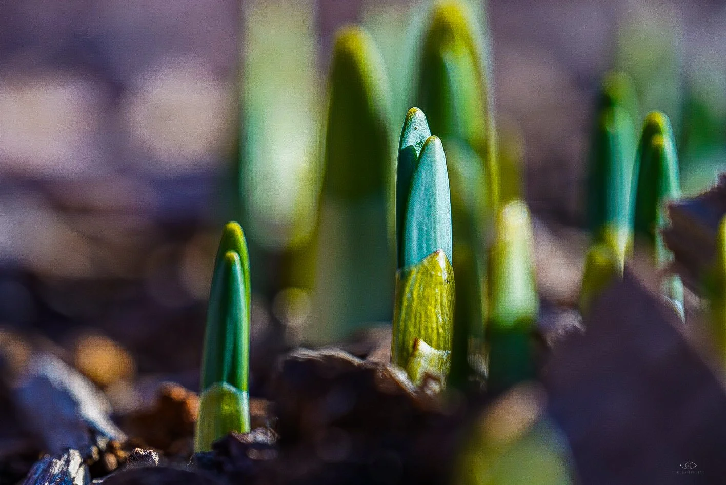 New LIfe 3 2.28.26.jpg