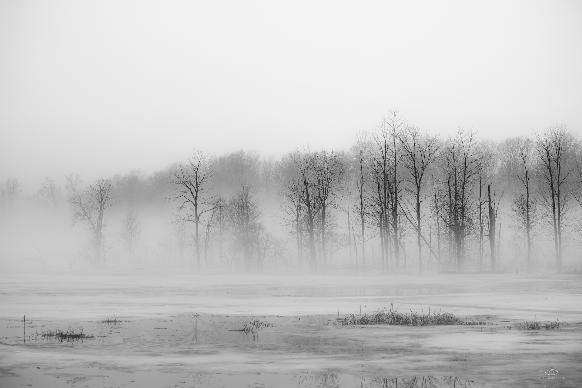 December Fog 3 12.10.24 copy.png